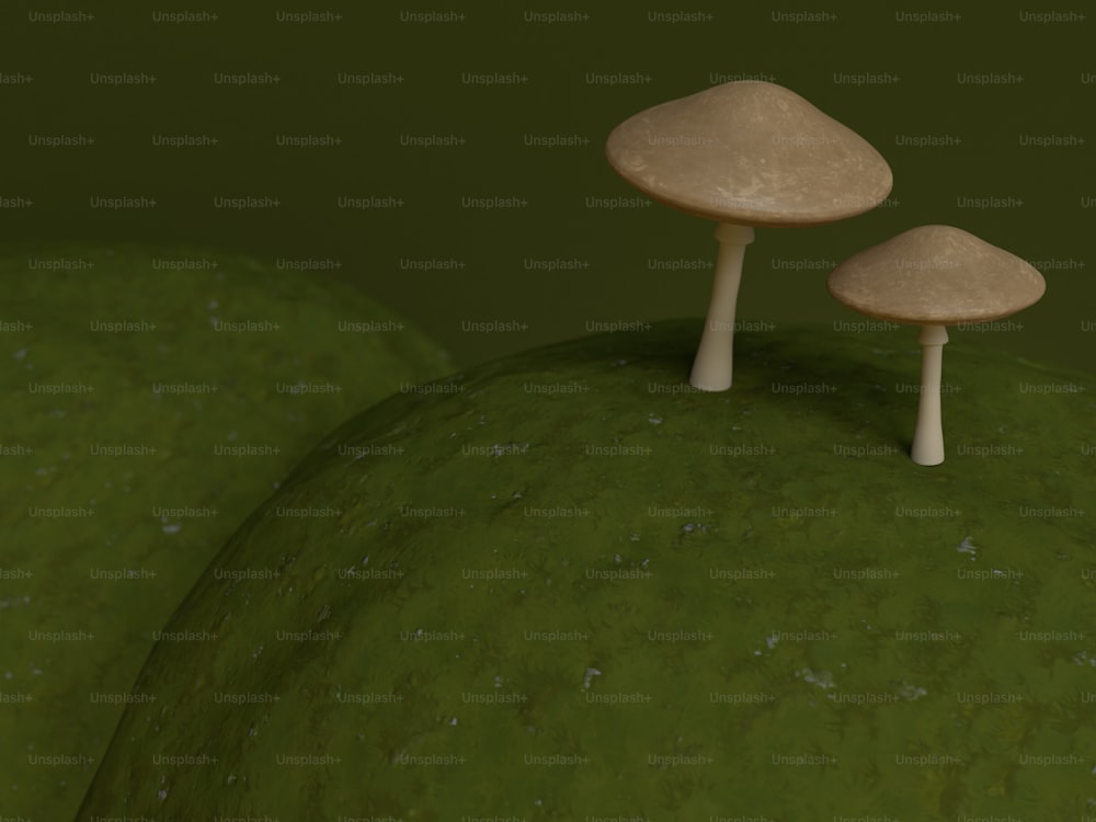 a group of mushrooms sitting on top of a green surface