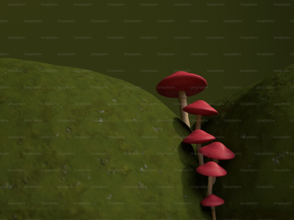 a group of red mushrooms growing out of the ground