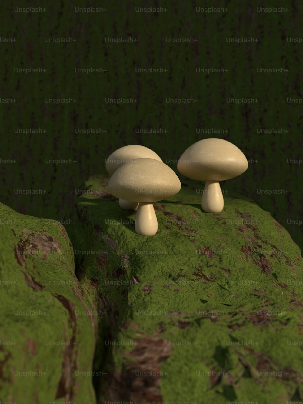 two mushrooms sitting on top of a moss covered rock