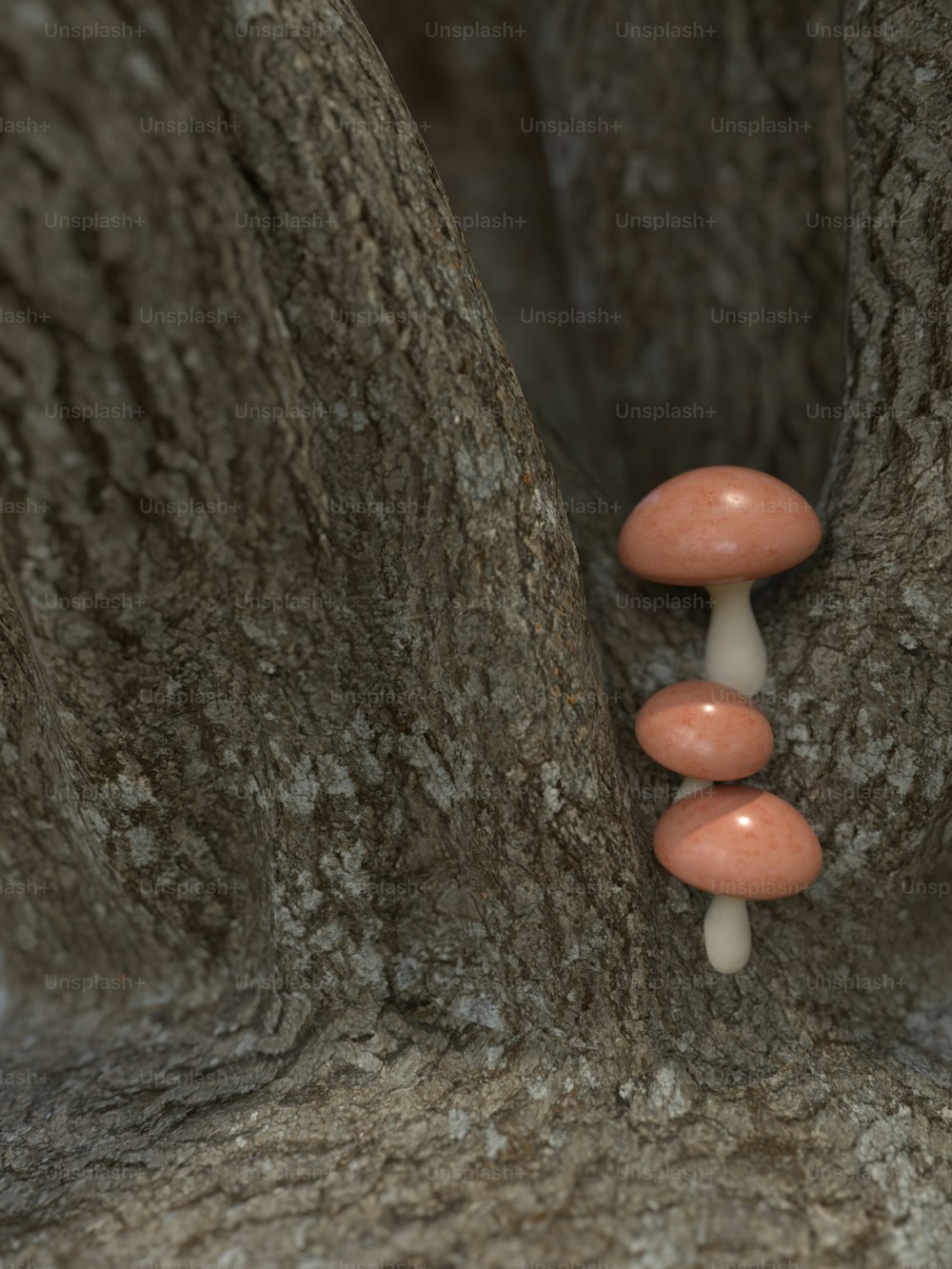 a group of mushrooms growing out of a tree