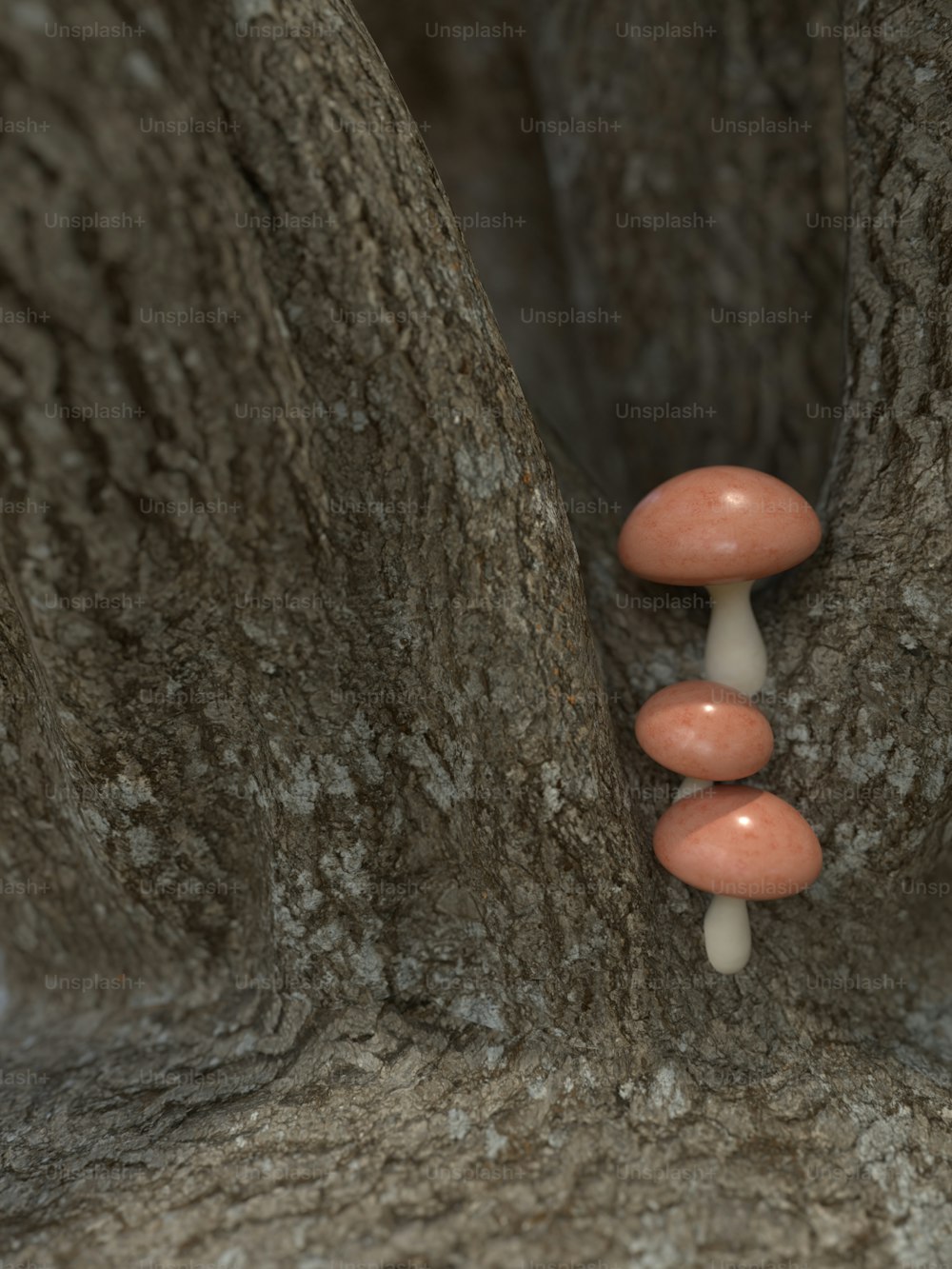 Un gruppo di funghi che crescono da un albero