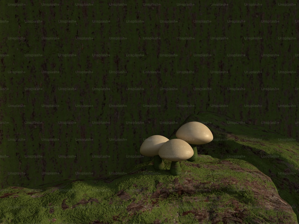 苔で覆われた岩の上に座っている2つのキノコ