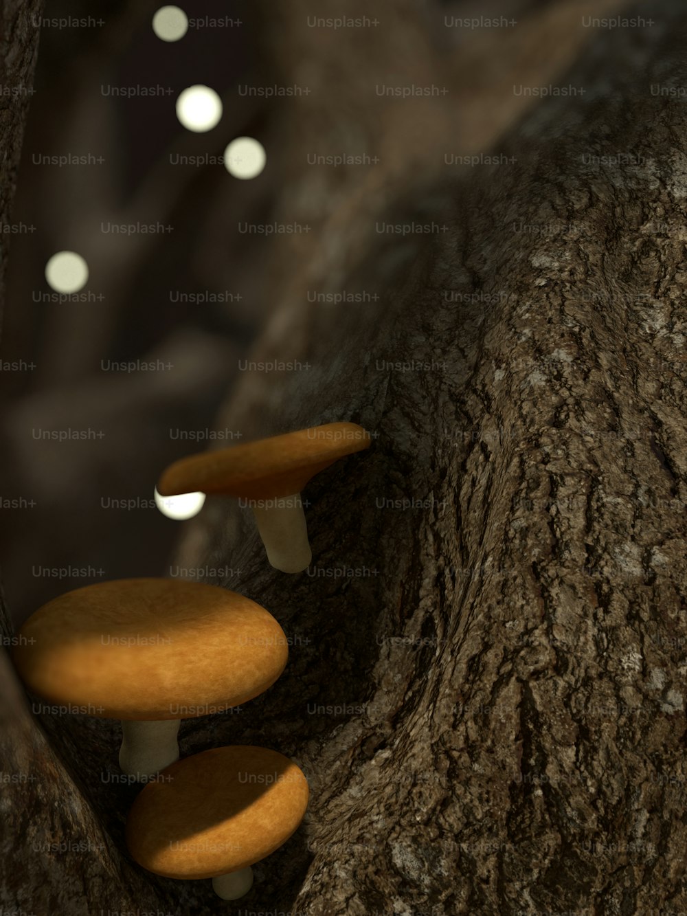 Un gruppo di funghi che crescono sul lato di un albero