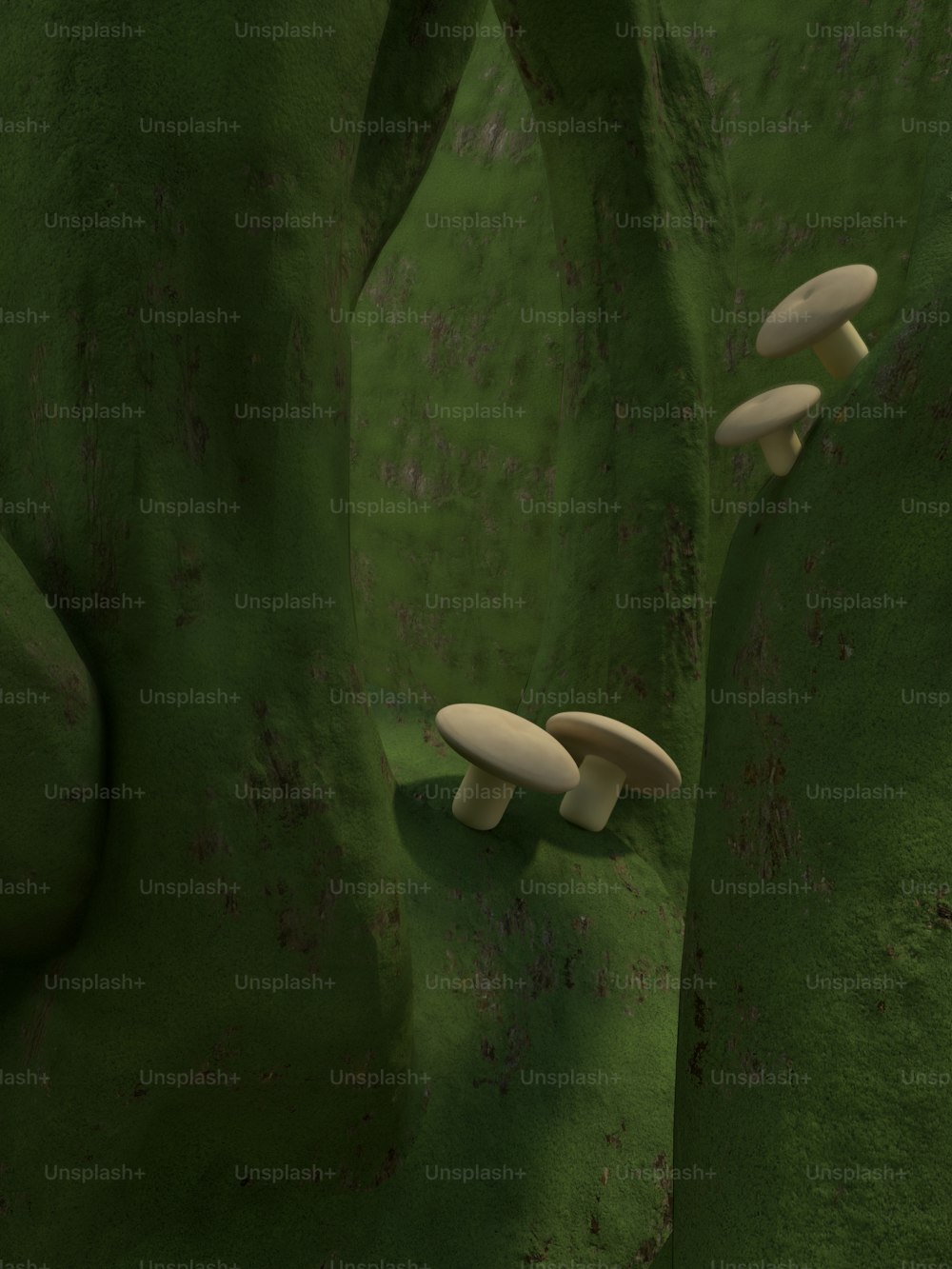 무성한 녹색 들판 위에 앉아있는 버섯 무리