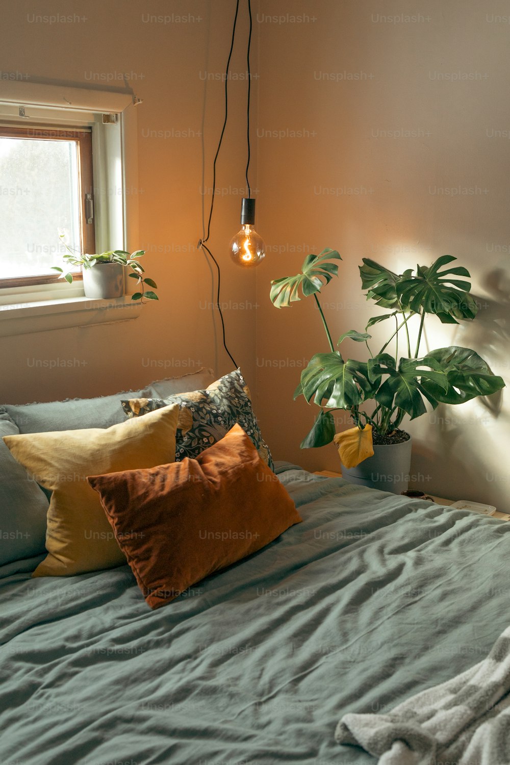 un dormitorio con una cama y una planta en la esquina