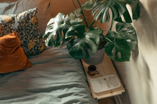 a bed with a plant on top of it