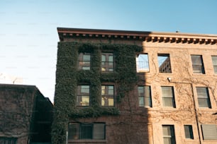 a tall brick building with ivy growing on it's side