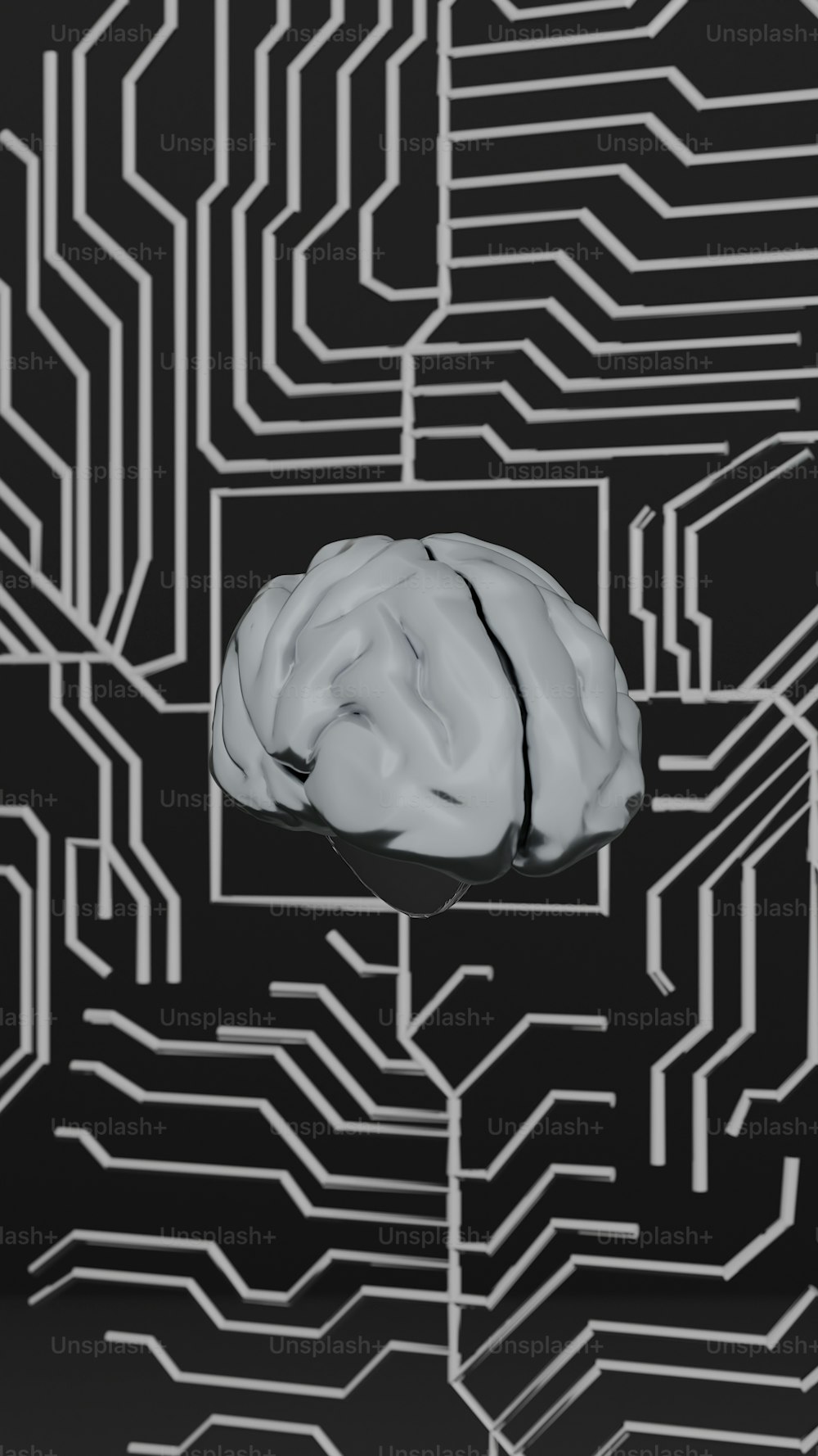 Una foto in bianco e nero di un cervello