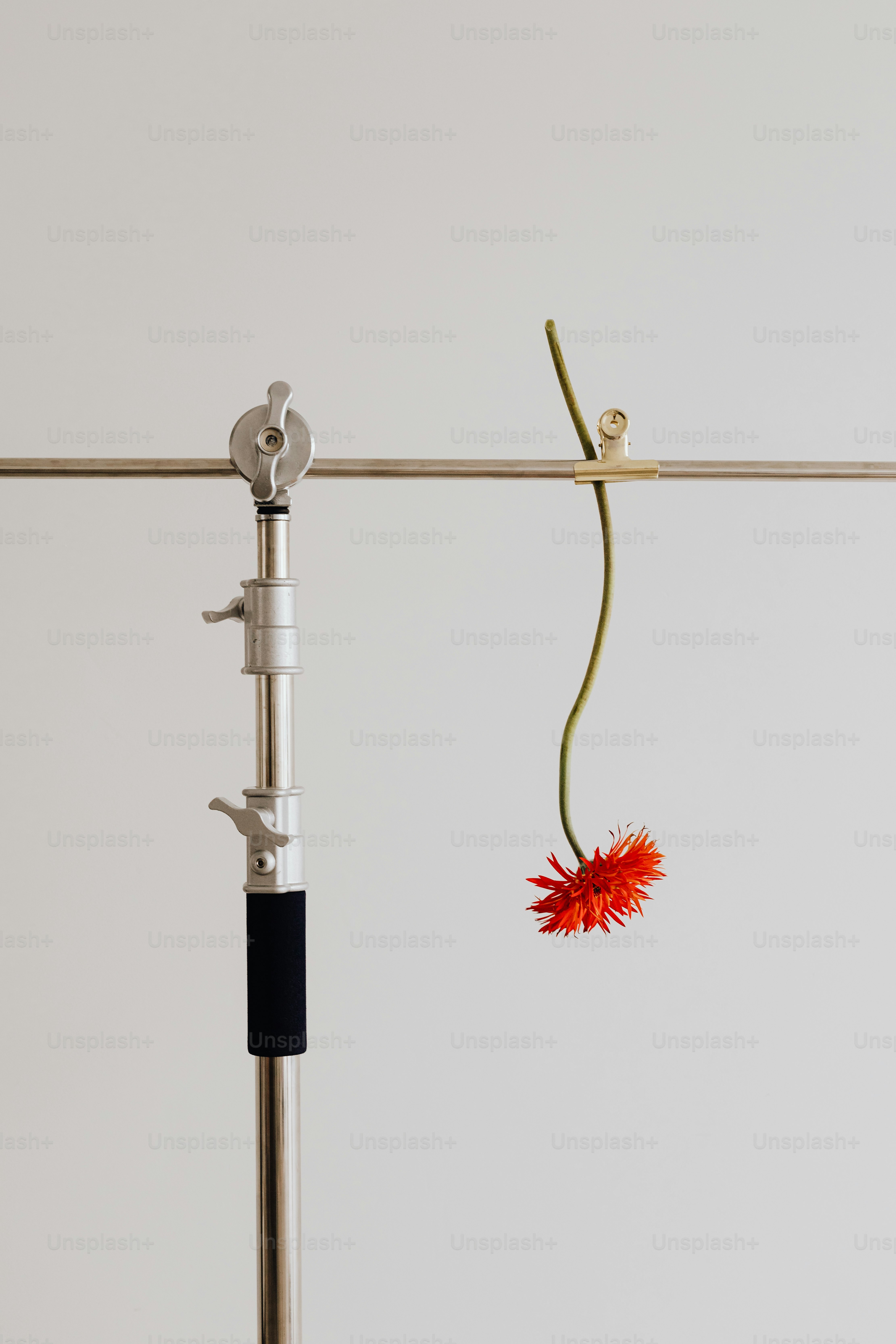 a red flower hanging from a hook on a white wall
