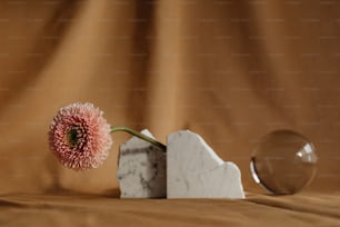 a single flower sitting on top of a white block