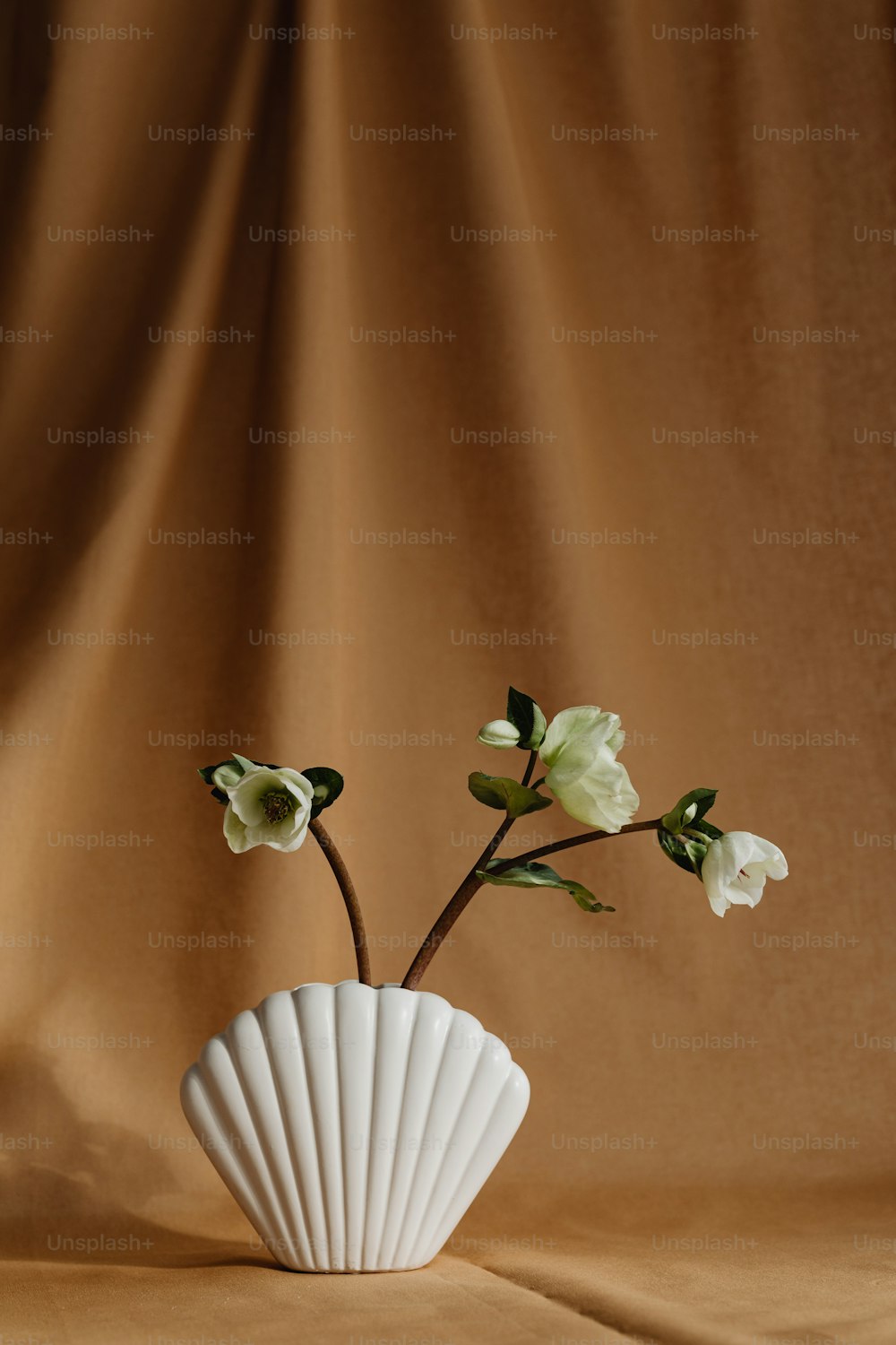 a white vase with flowers in it on a brown background