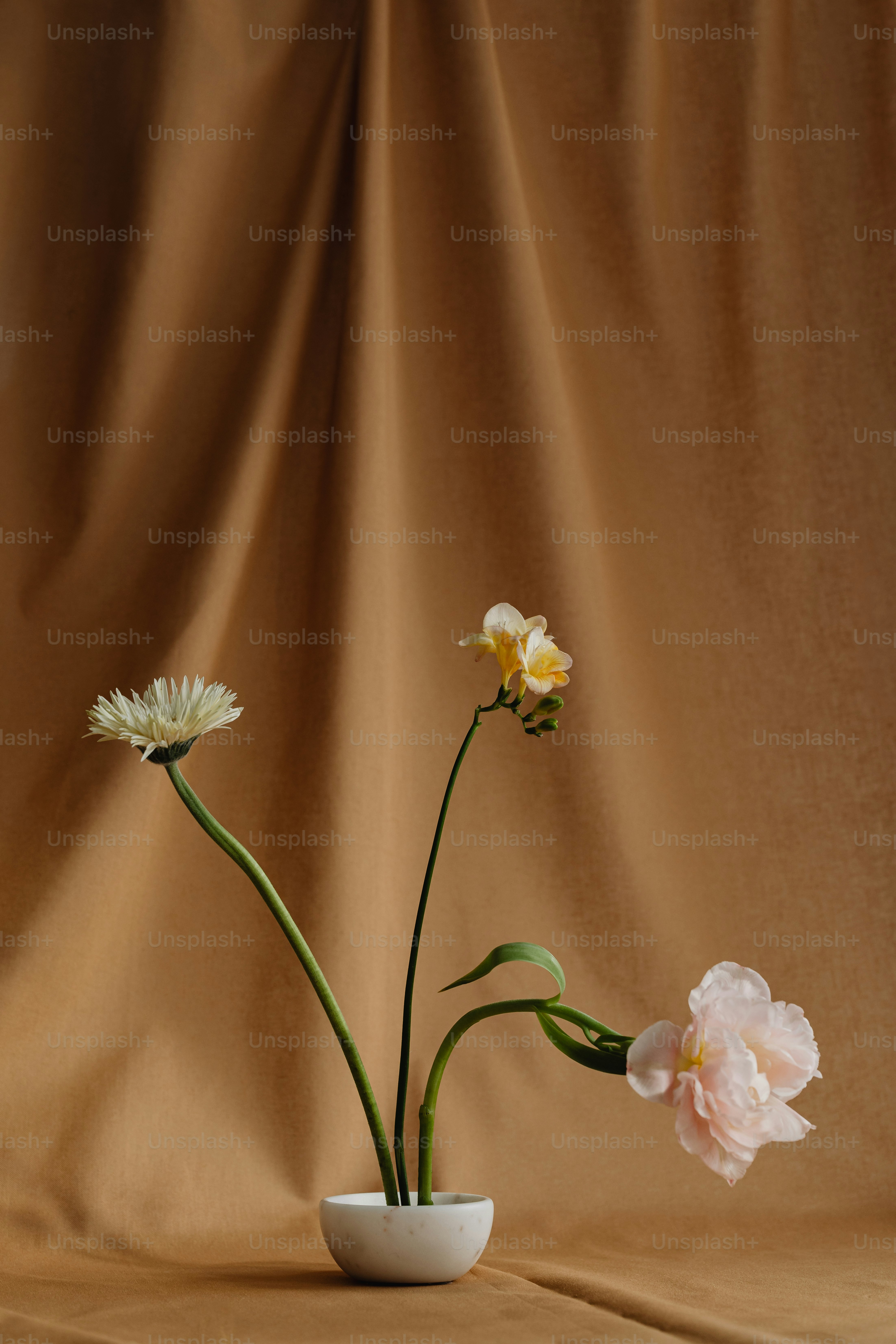 꽃병에 들어있는 두 개의 꽃