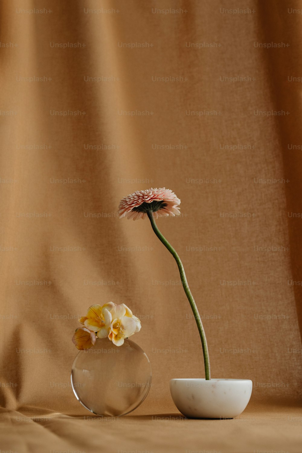 Eine einzelne Blume in einer Glasvase auf einem Tisch
