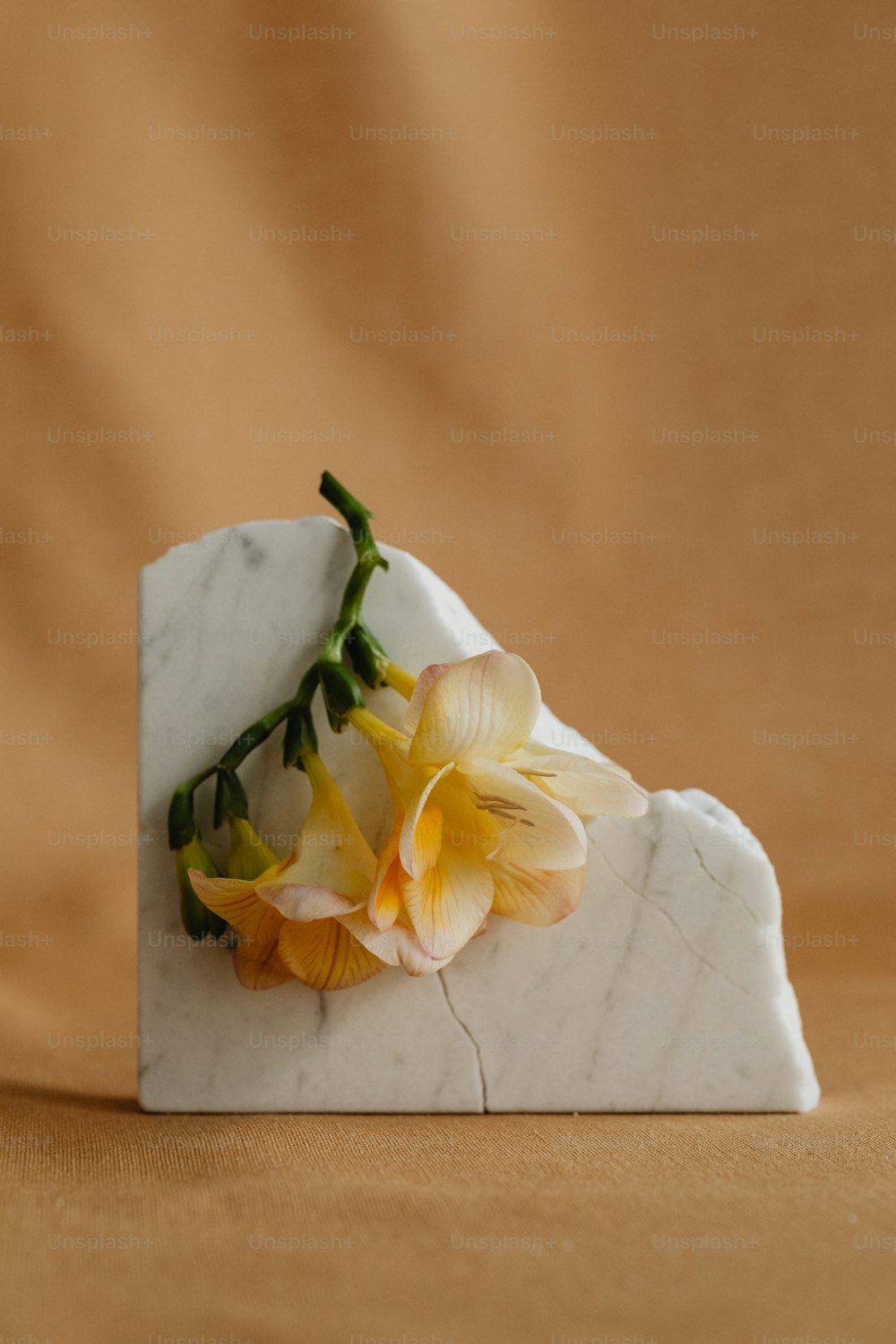 Un bloque de mármol blanco con una flor amarilla