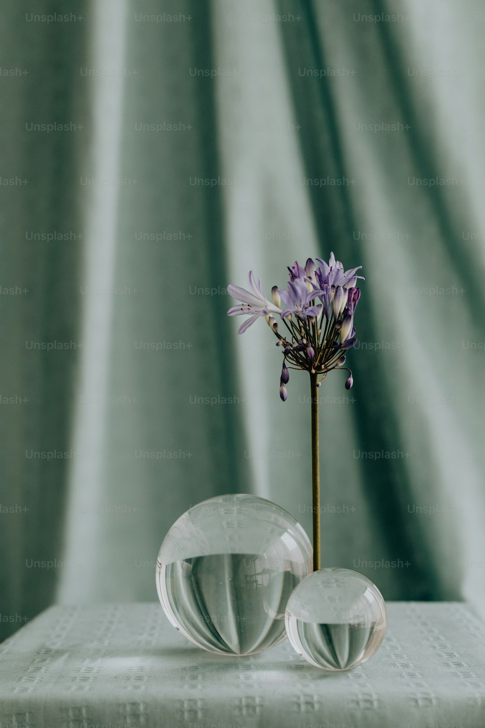 a glass vase with a purple flower in it