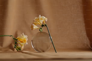two yellow flowers in a glass vase on a table
