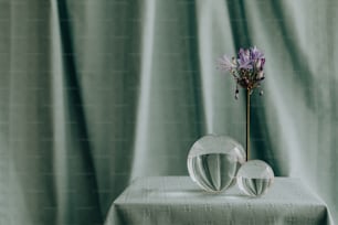 um vaso com uma flor sentado em uma mesa