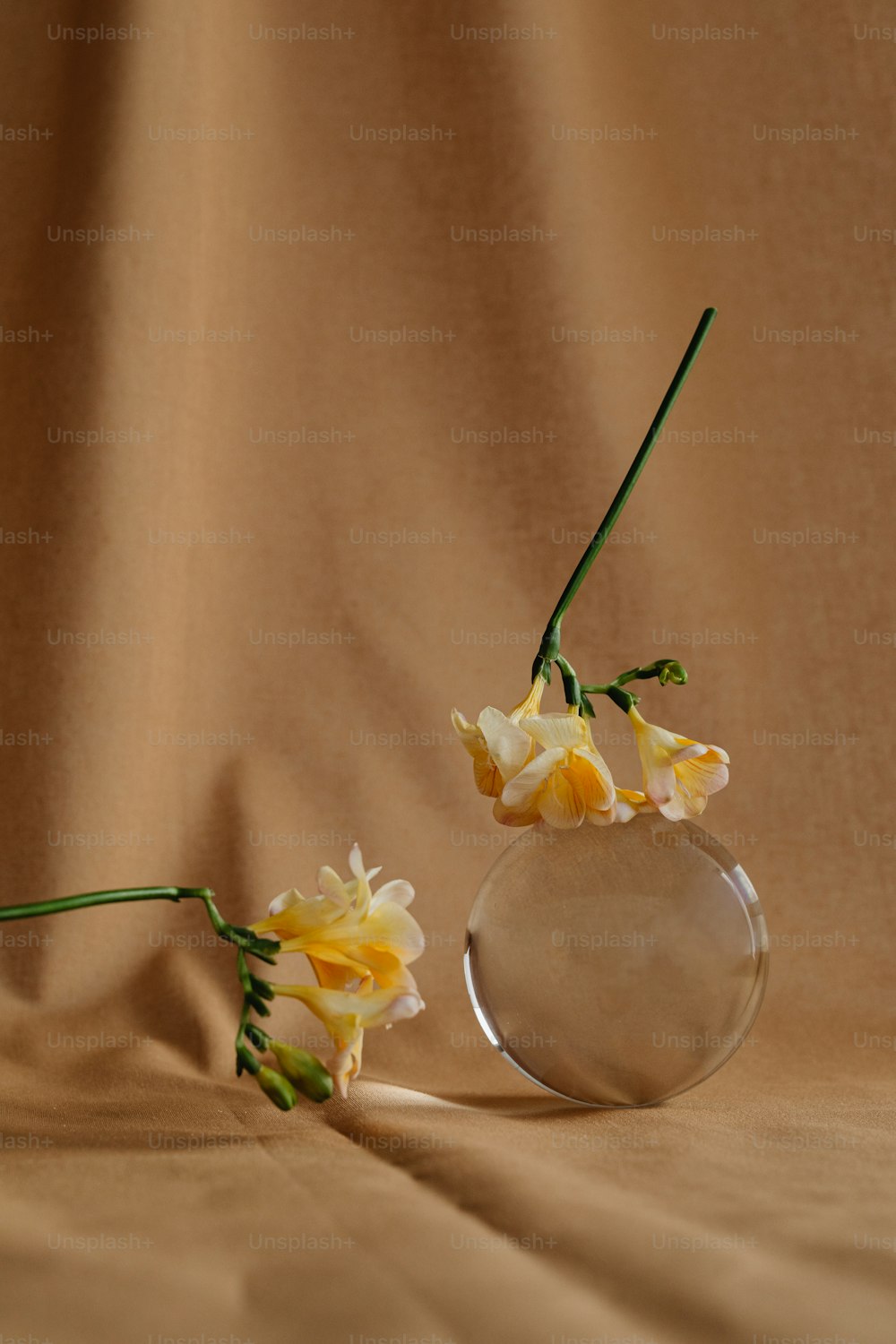 un vase en verre avec des fleurs jaunes dedans