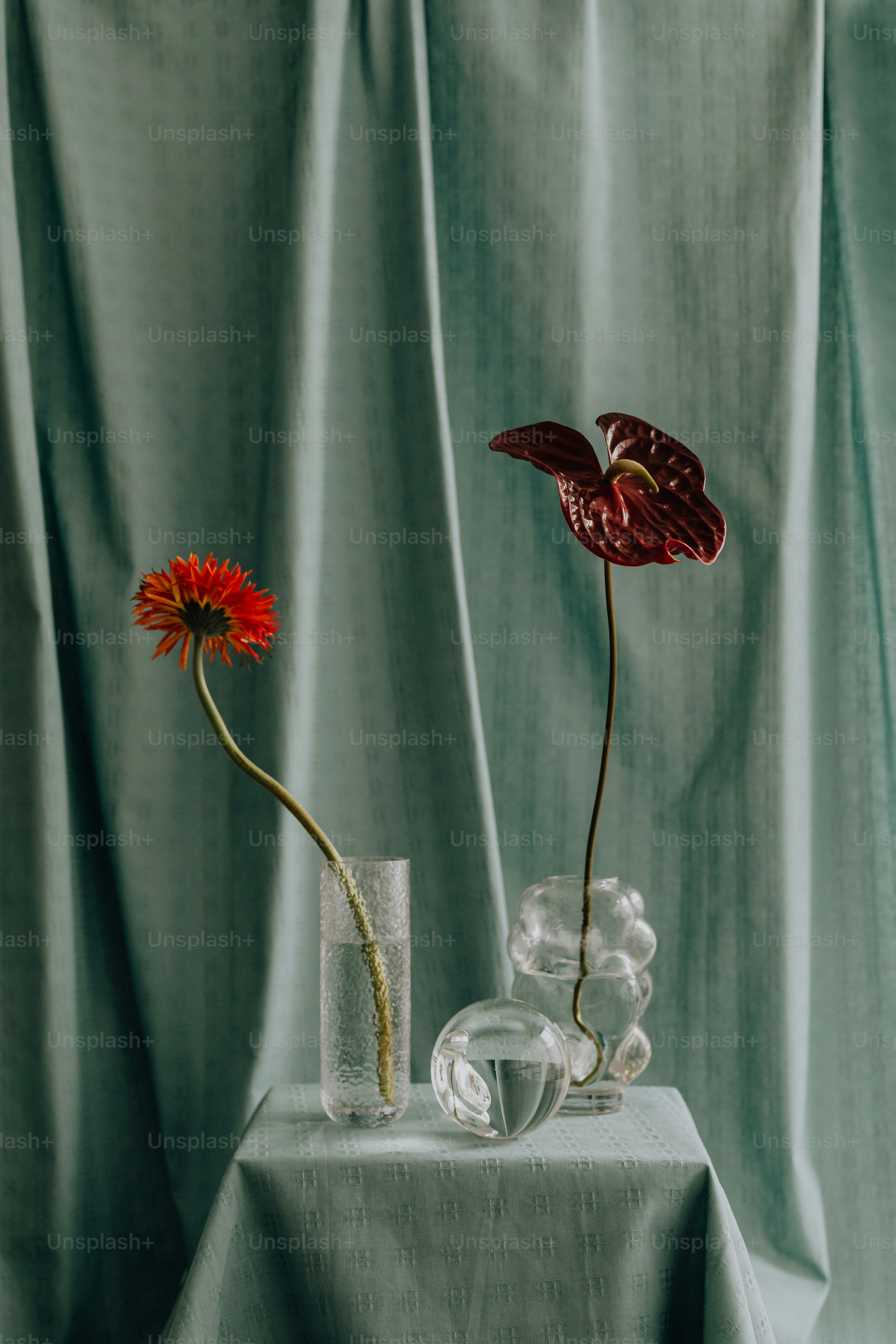 a couple of flowers sitting on top of a table