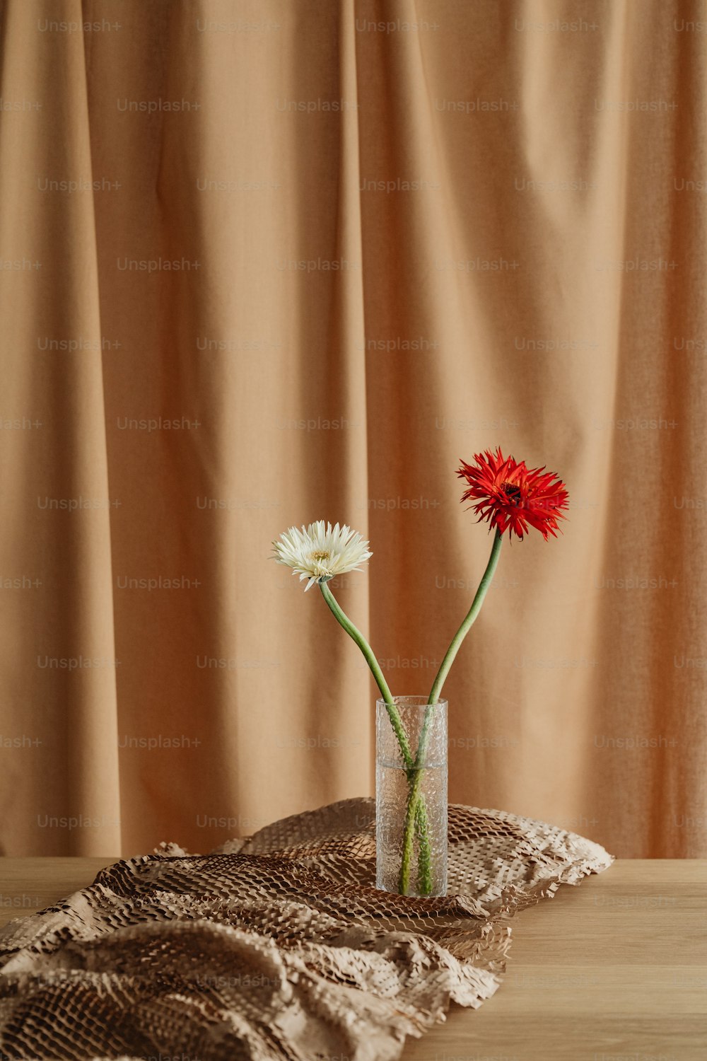 two red and white flowers in a vase on a table