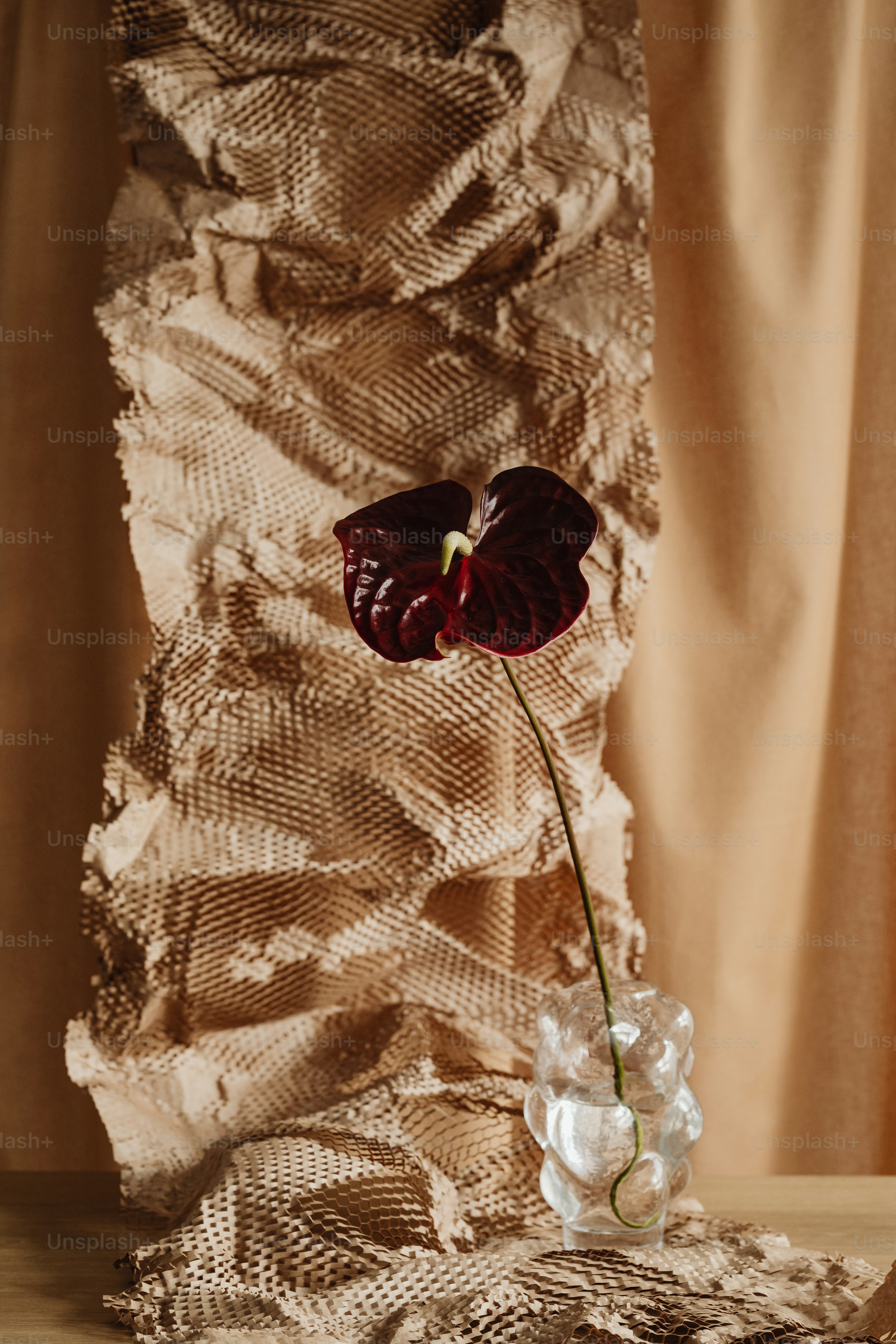 A vase with a flower in it sitting on a table photo – Flower Image on ...