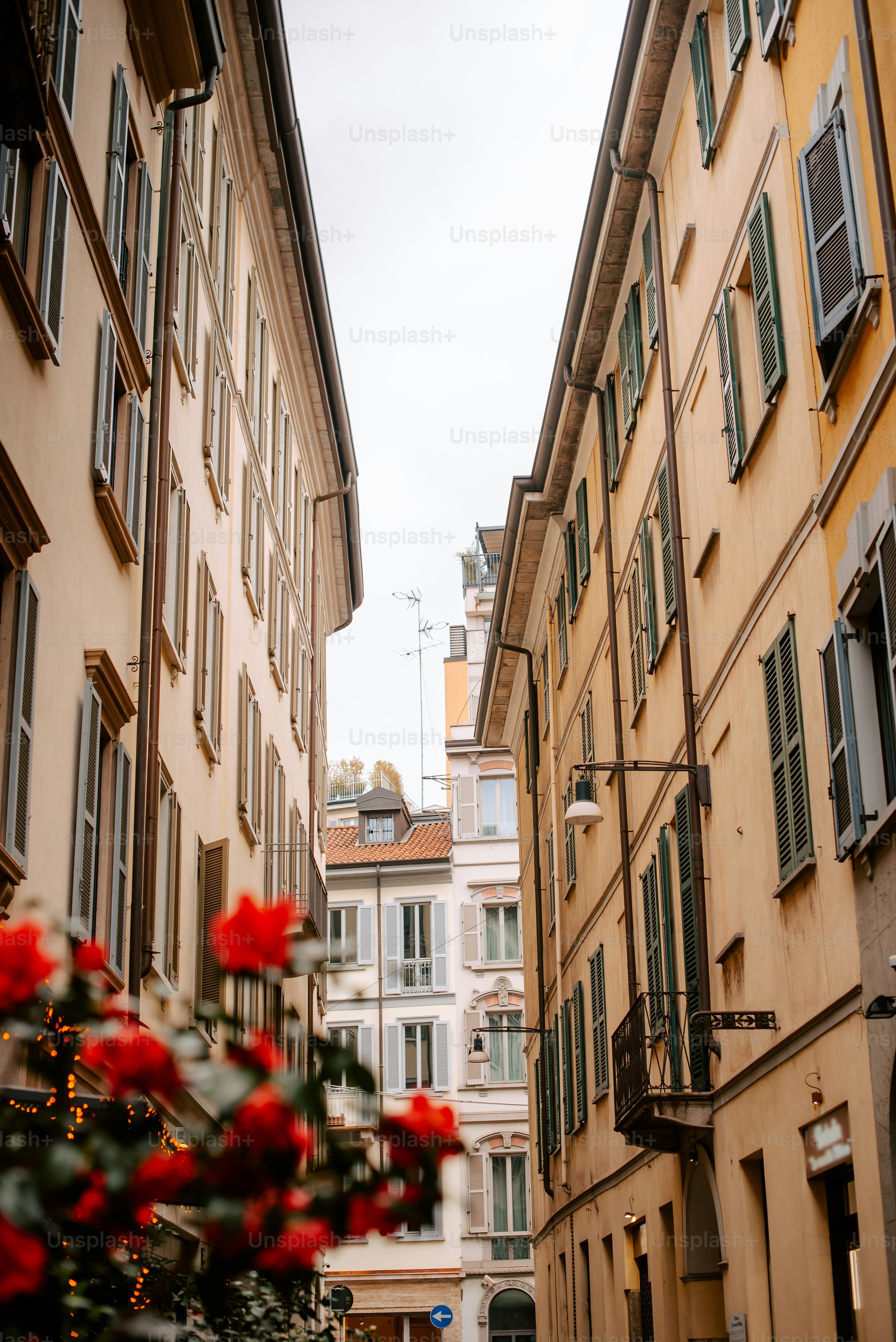 建物と花が手前に広がる通り