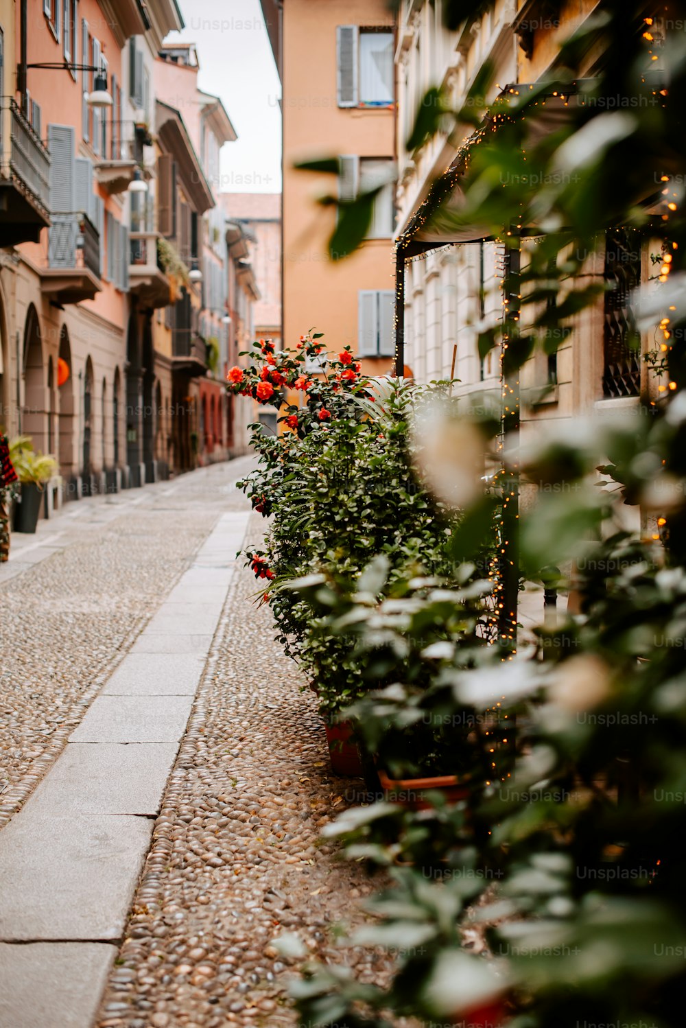 uma rua alinhada com vasos de plantas ao lado de edifícios