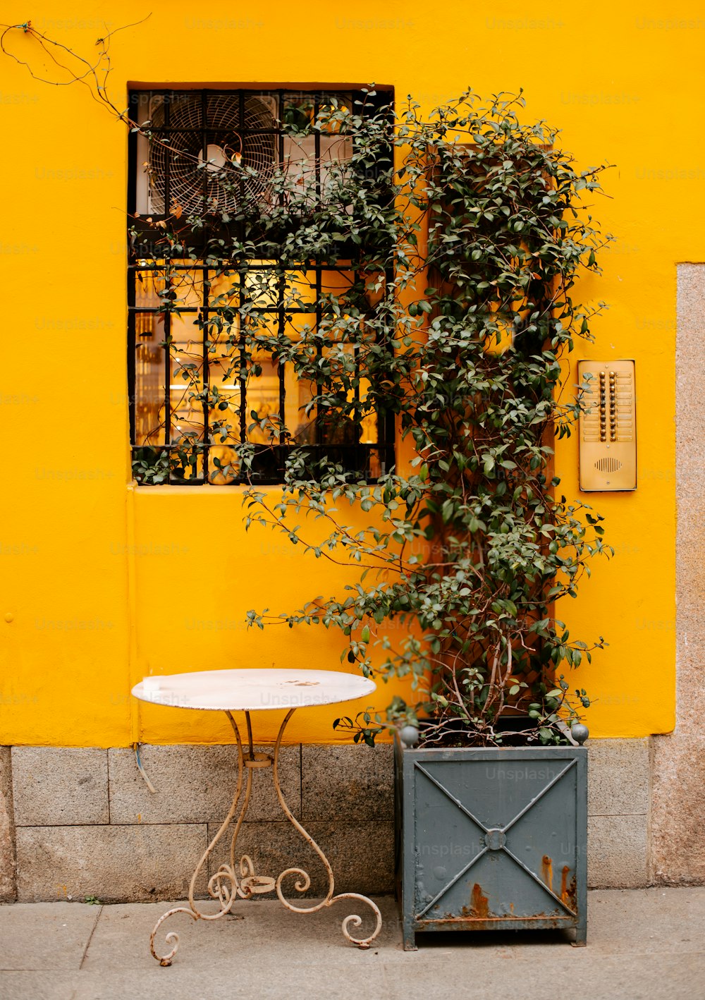 Une petite table et une plante devant un bâtiment jaune