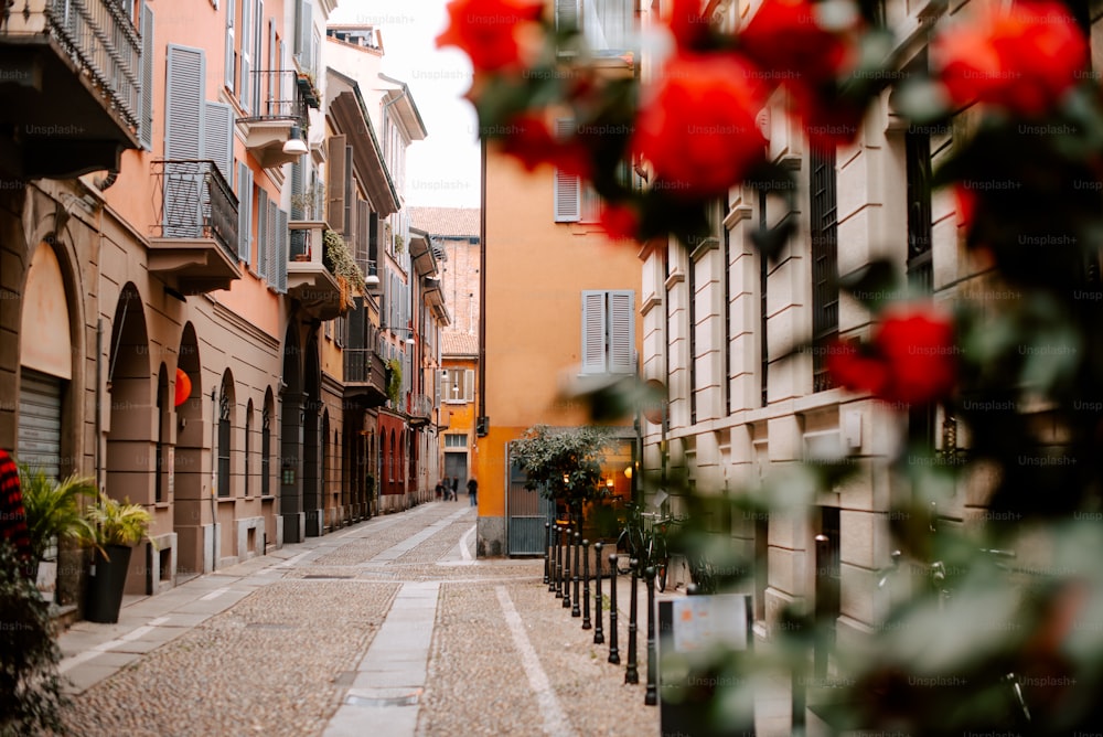 a narrow street lined with buildings and flowers