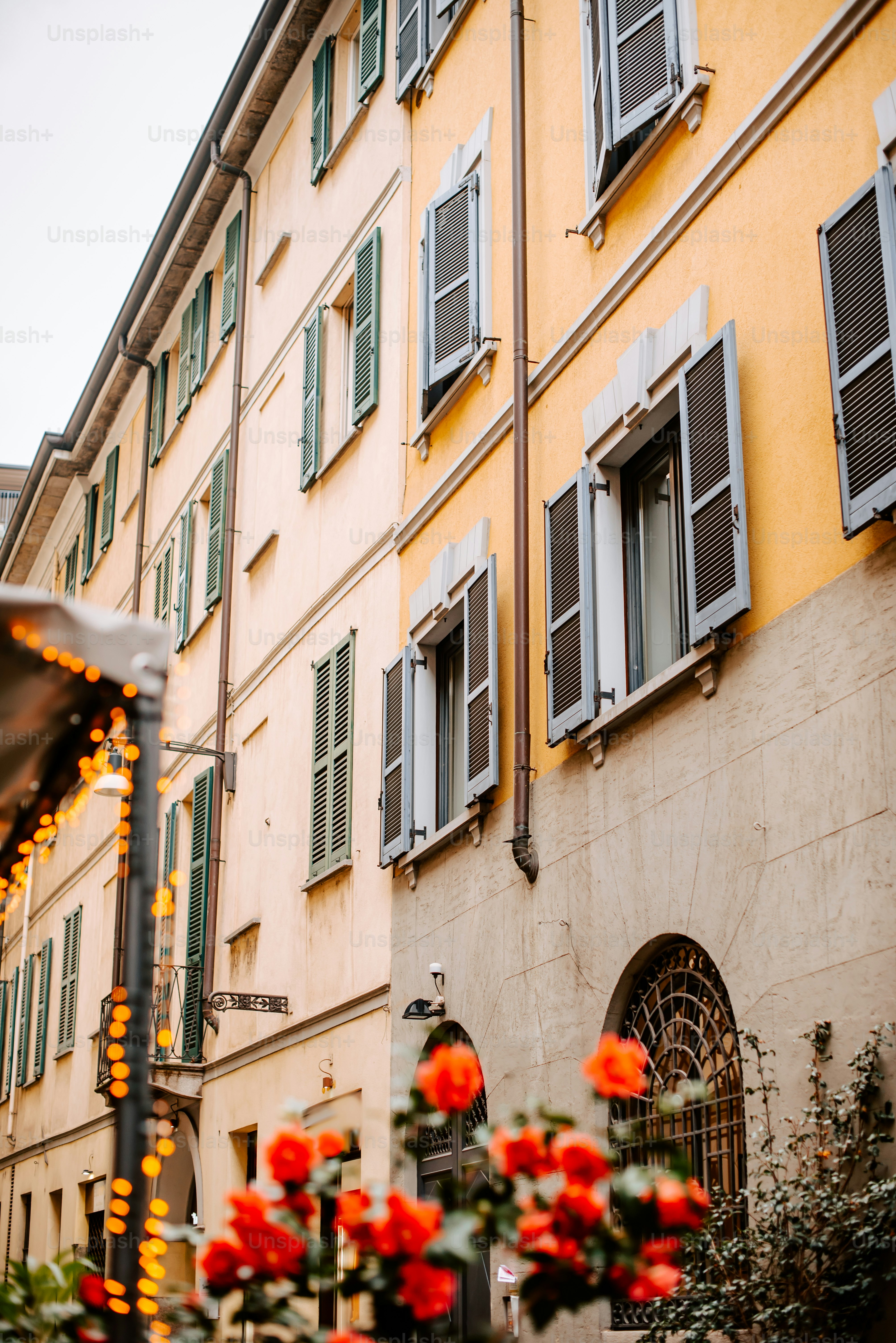 目の前にたくさんの窓と花がある建物