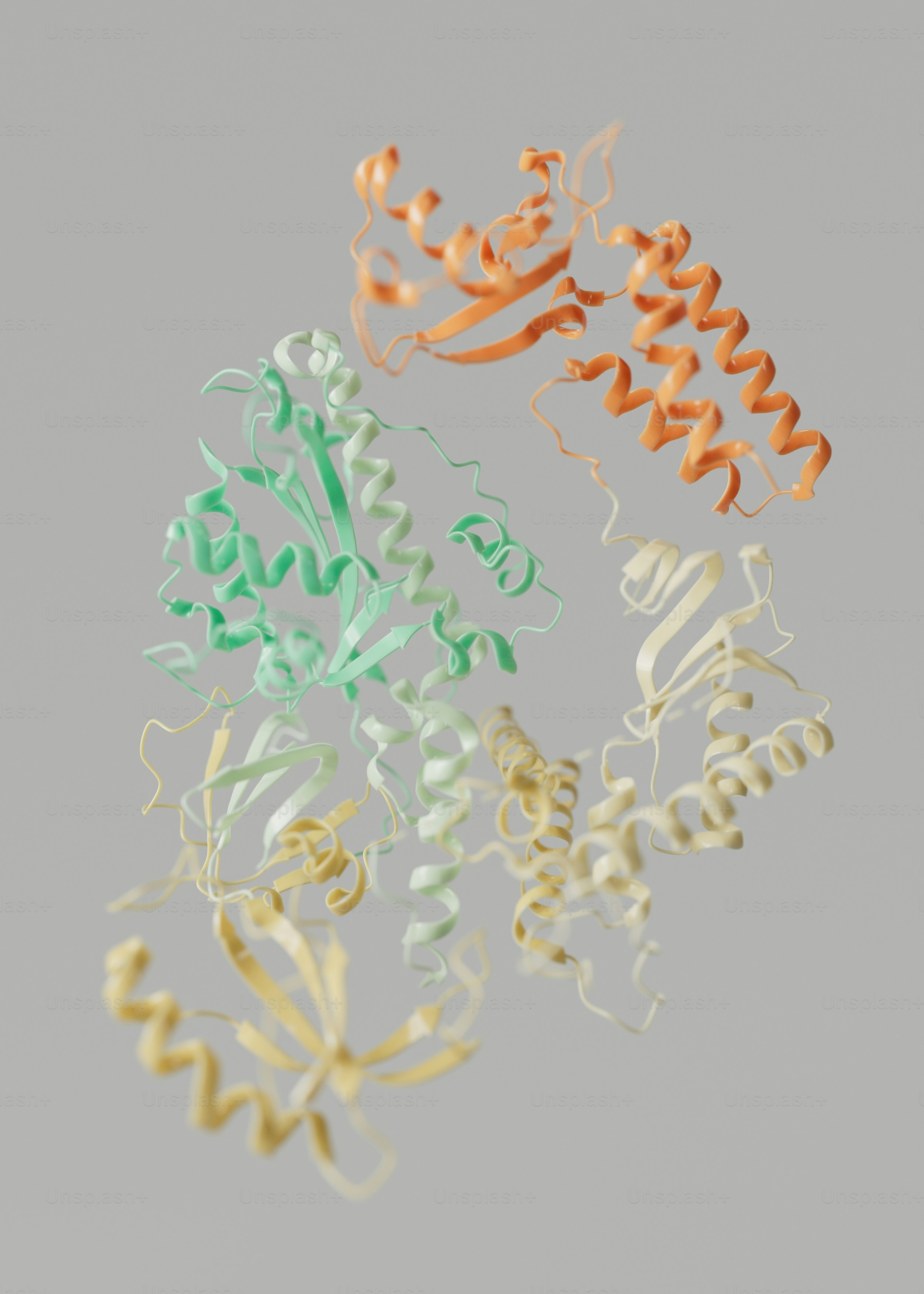 Yeast DNA