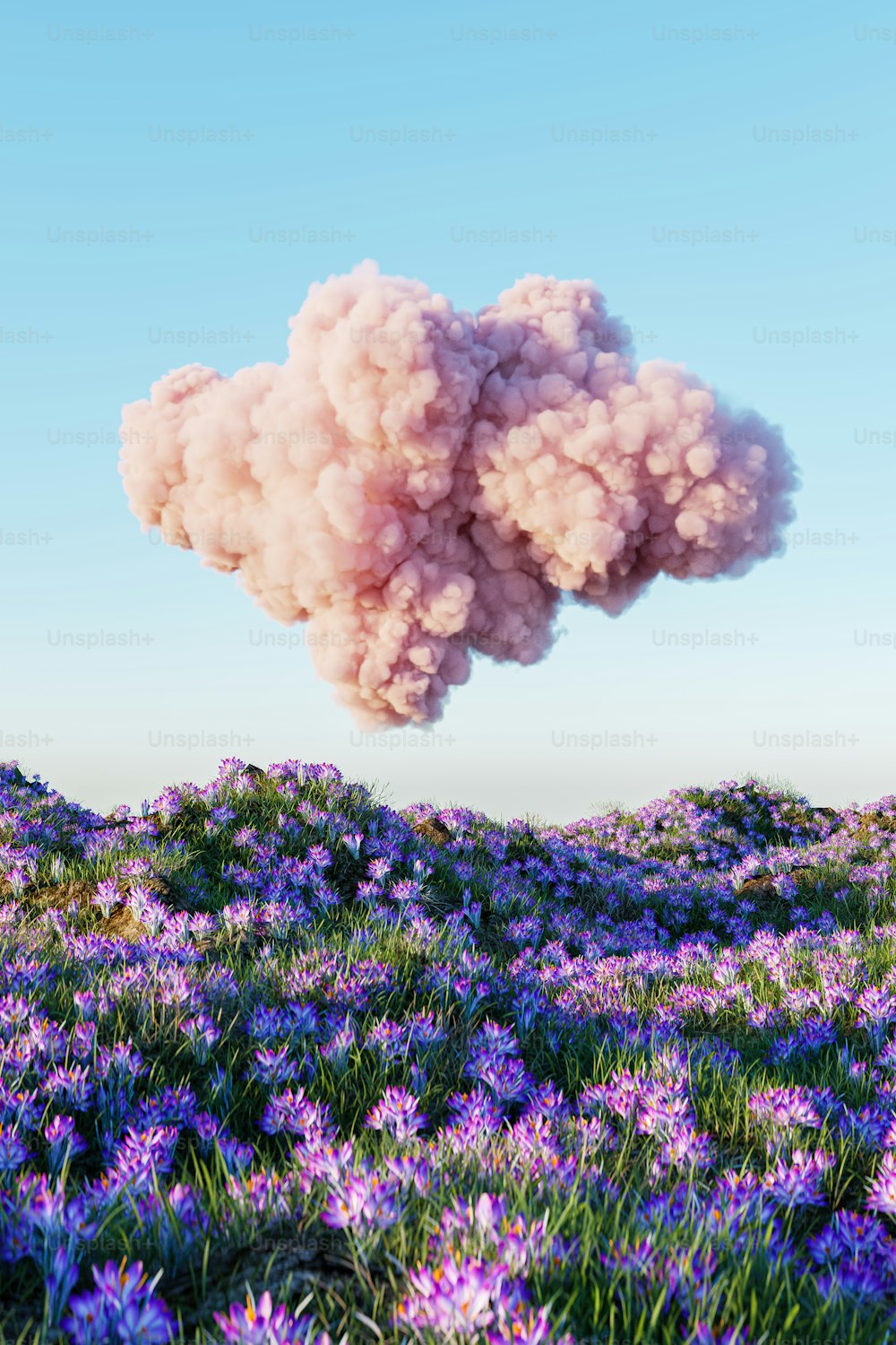 연기 구름이 보라색 꽃밭 위에 떠 있습니다.
