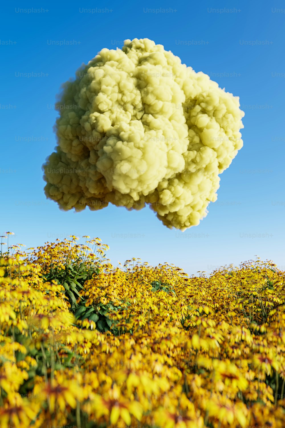 uma nuvem de fumaça está flutuando sobre um campo de flores amarelas