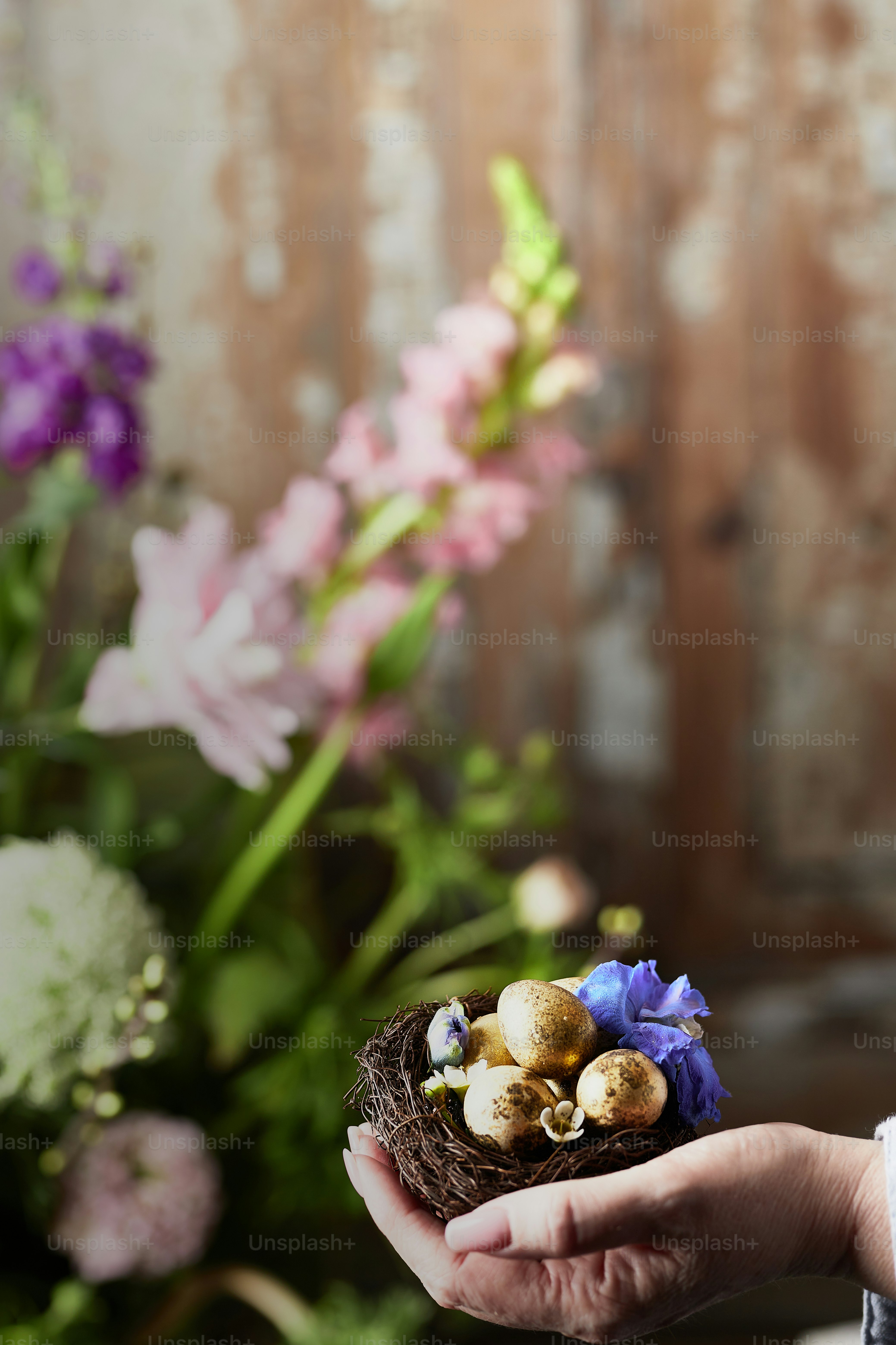 eine Person, die ein kleines Nest hält, das mit Eiern gefüllt ist