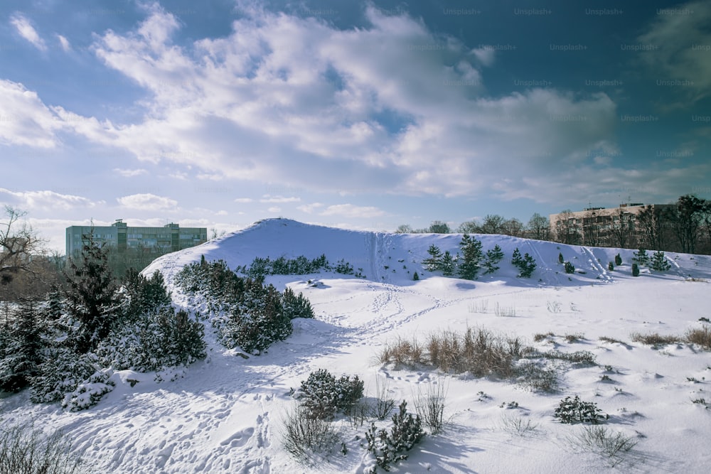 ein schneebedecktes Feld mit Bäumen und Gebäuden im Hintergrund