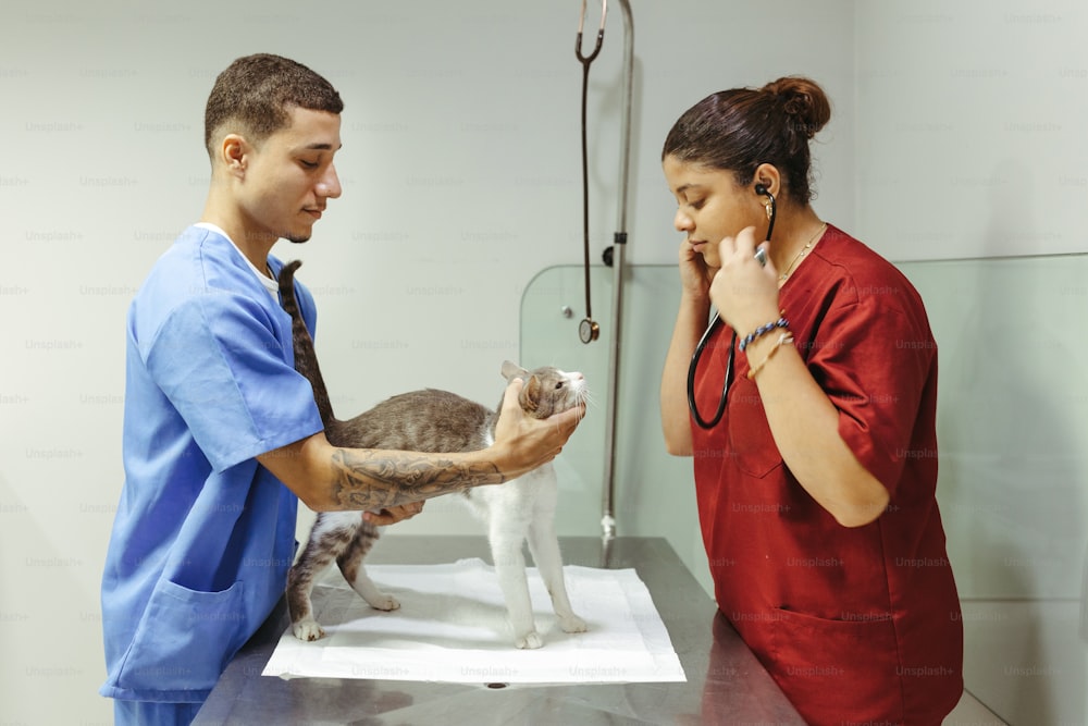 a man and a woman in scrubs petting a cat