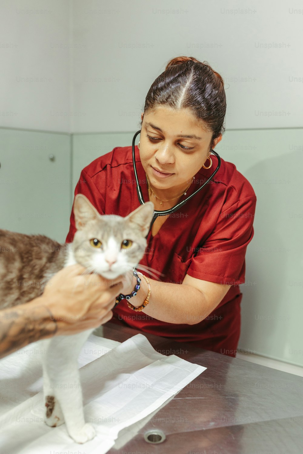 a woman in a red shirt is petting a cat