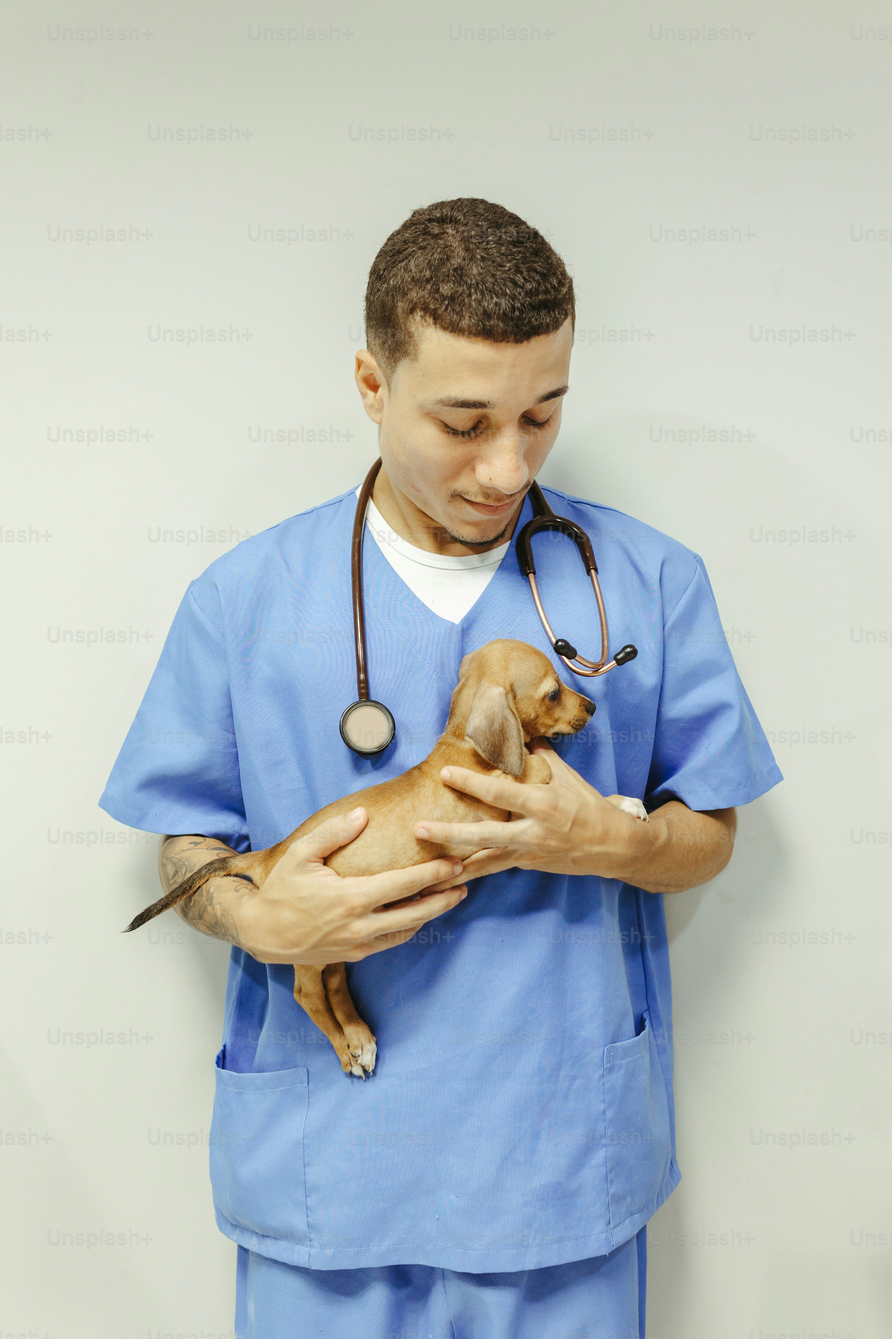 a man in scrubs holding a small dog