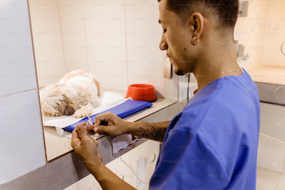 a man in a blue shirt is brushing his dog's teeth