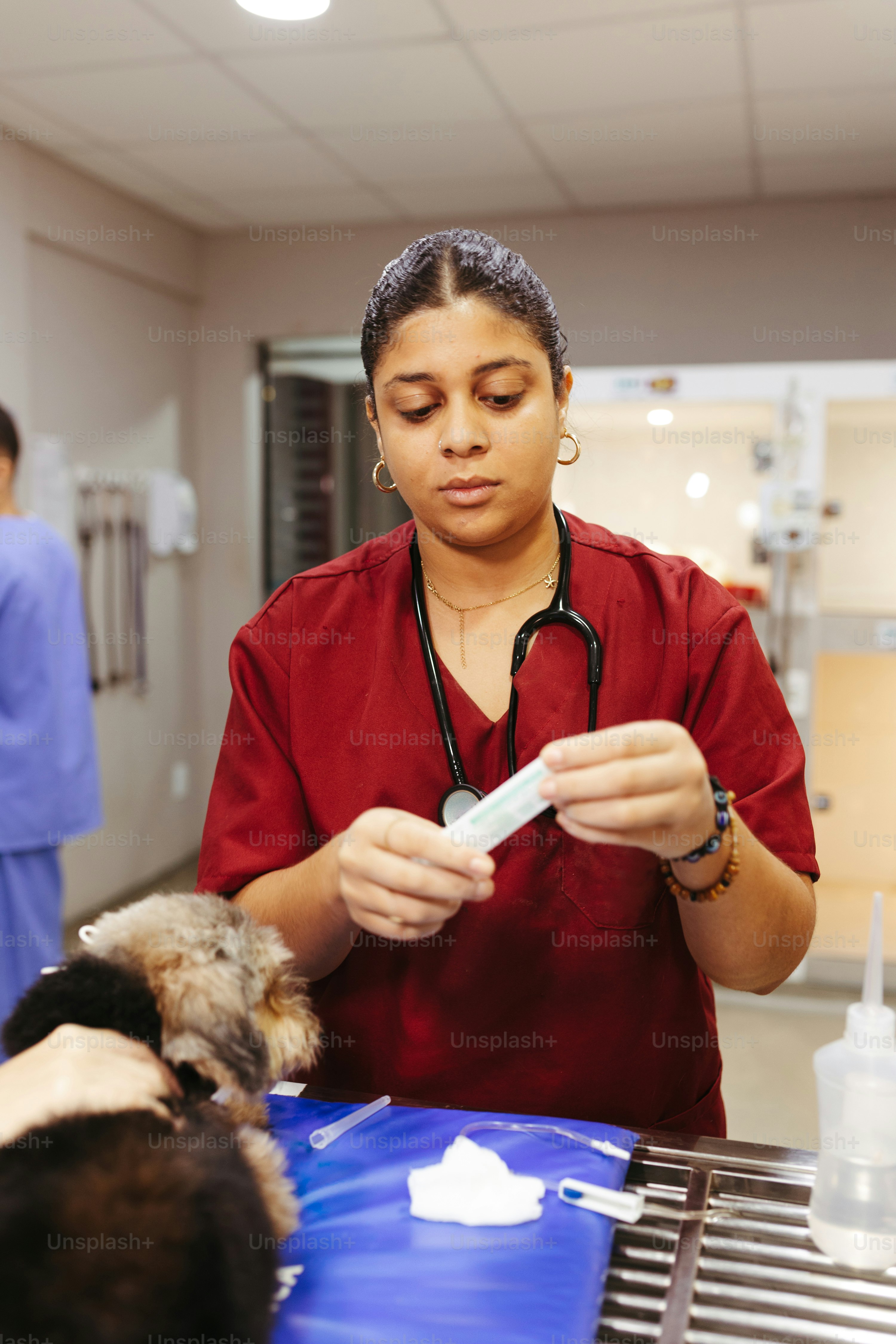Which Health Problems Are Most Common in Older Hedgehogs?