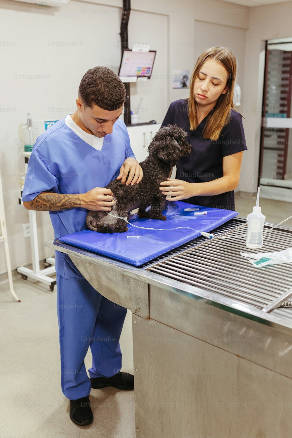 a man and a woman in scrubs petting a dog