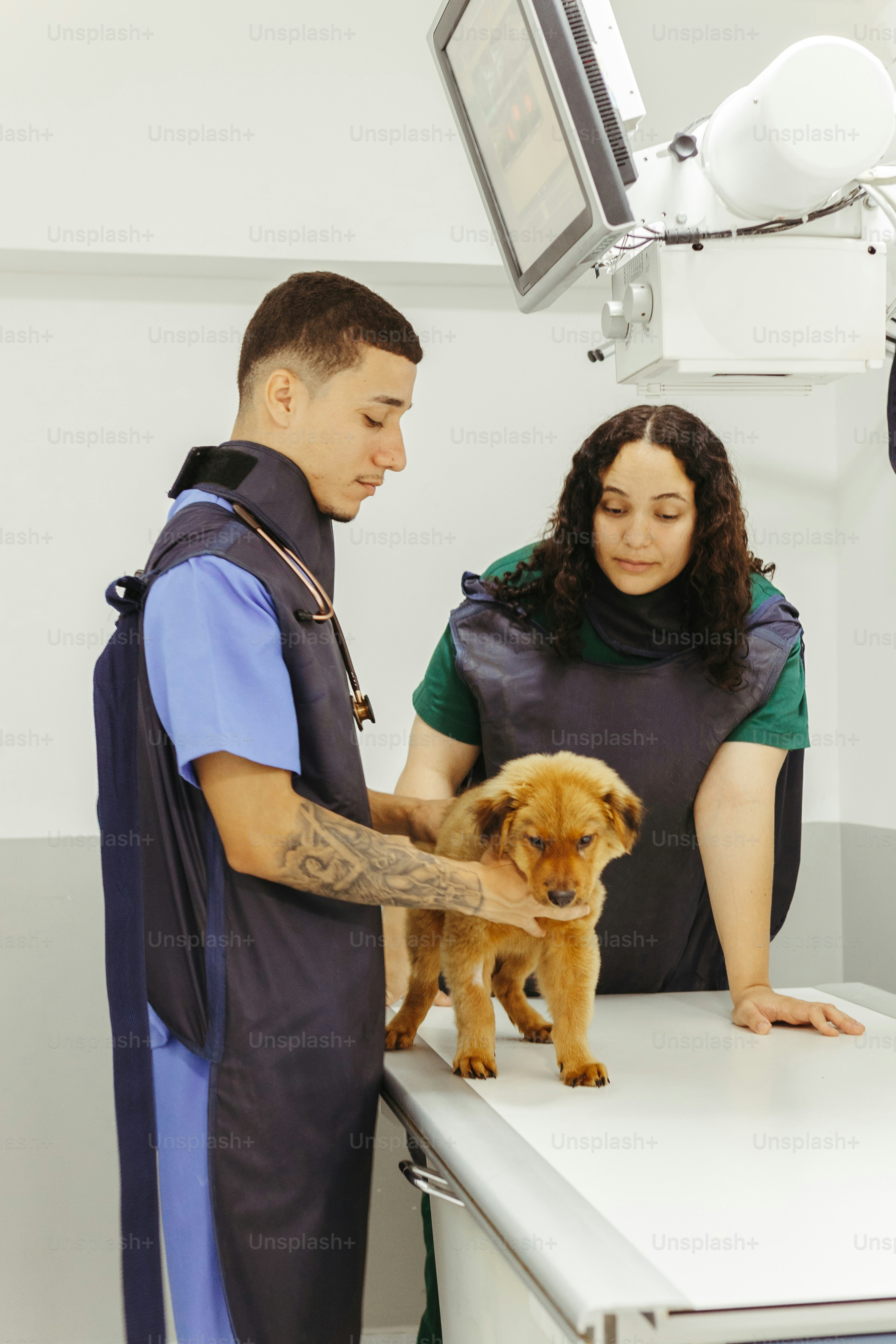 a man and a woman standing next to a dog