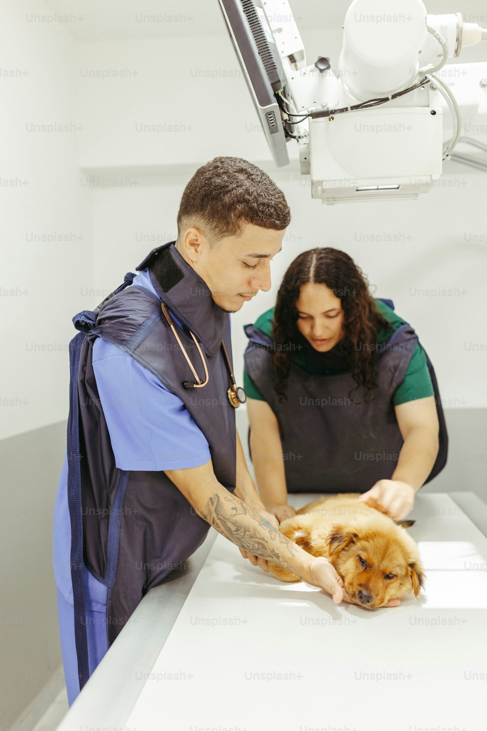 a man and a woman petting a dog