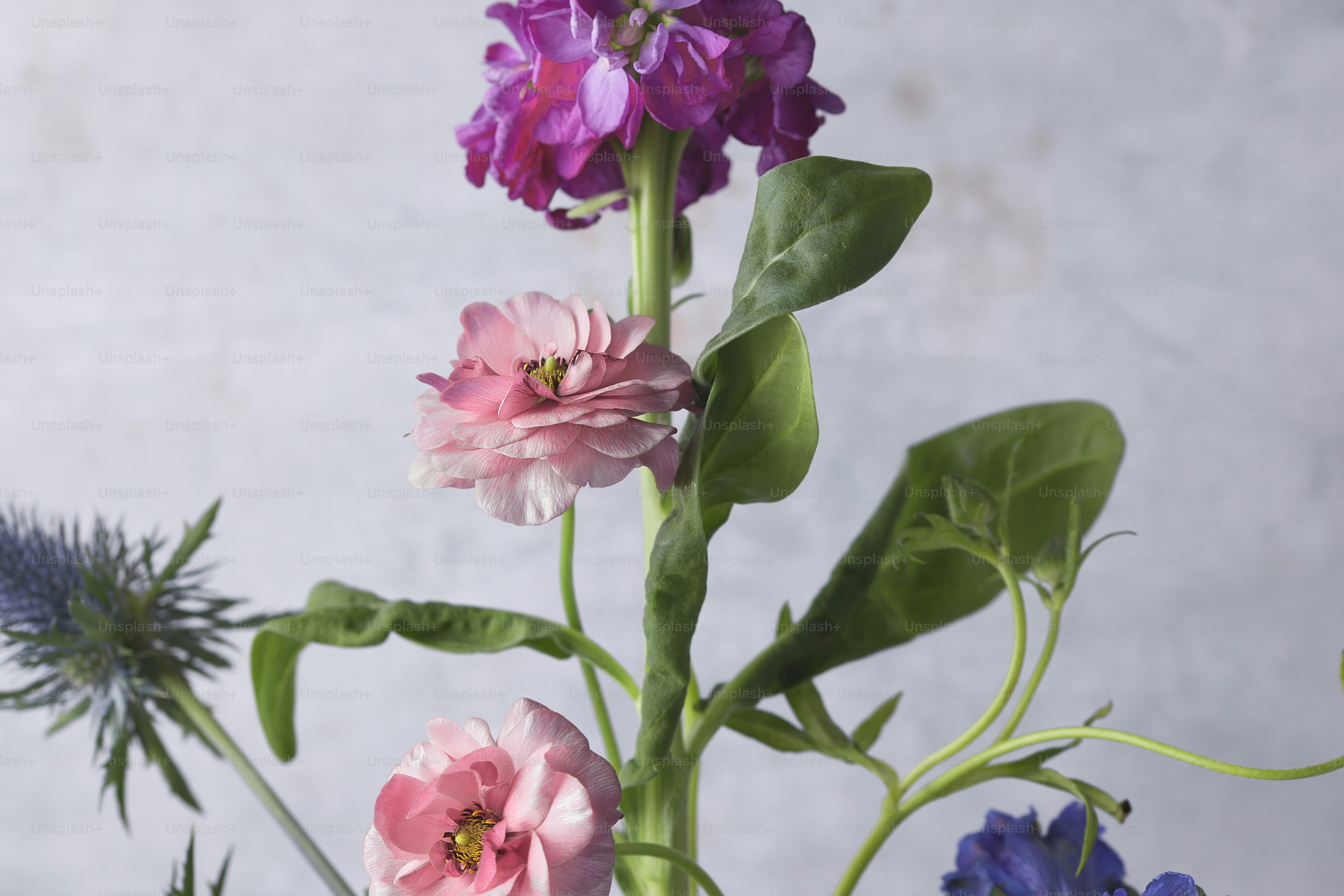 un bouquet de fleurs qui sont dans un vase