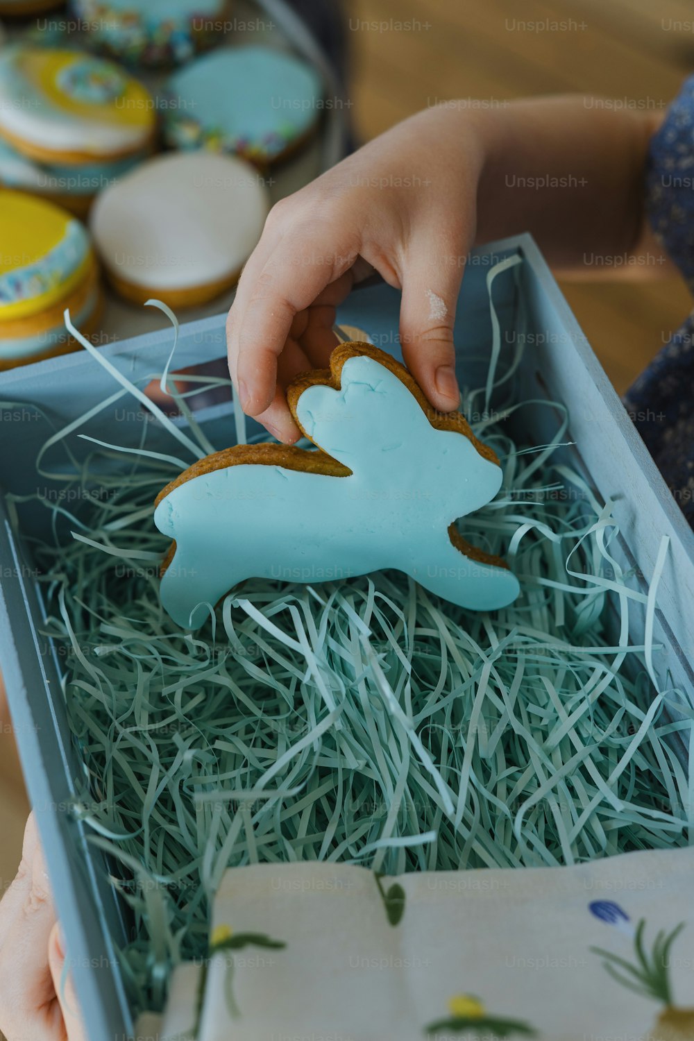 Un enfant joue avec un biscuit dans une boîte