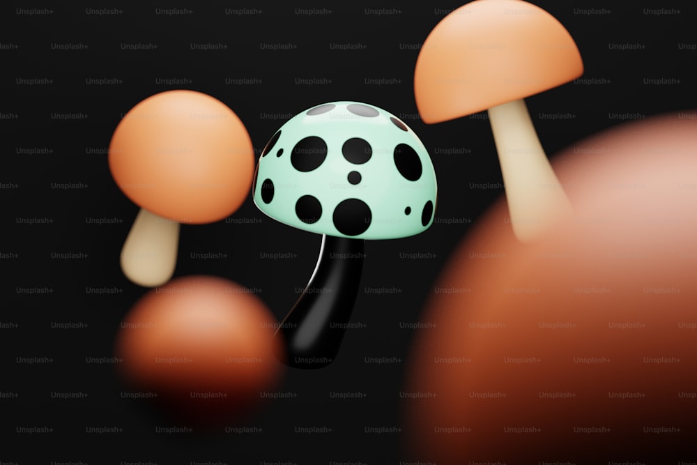 un groupe de champignons avec des points noirs