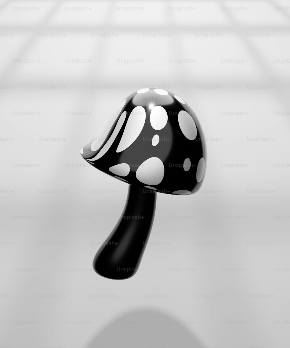 a black and white mushroom sitting on top of a table