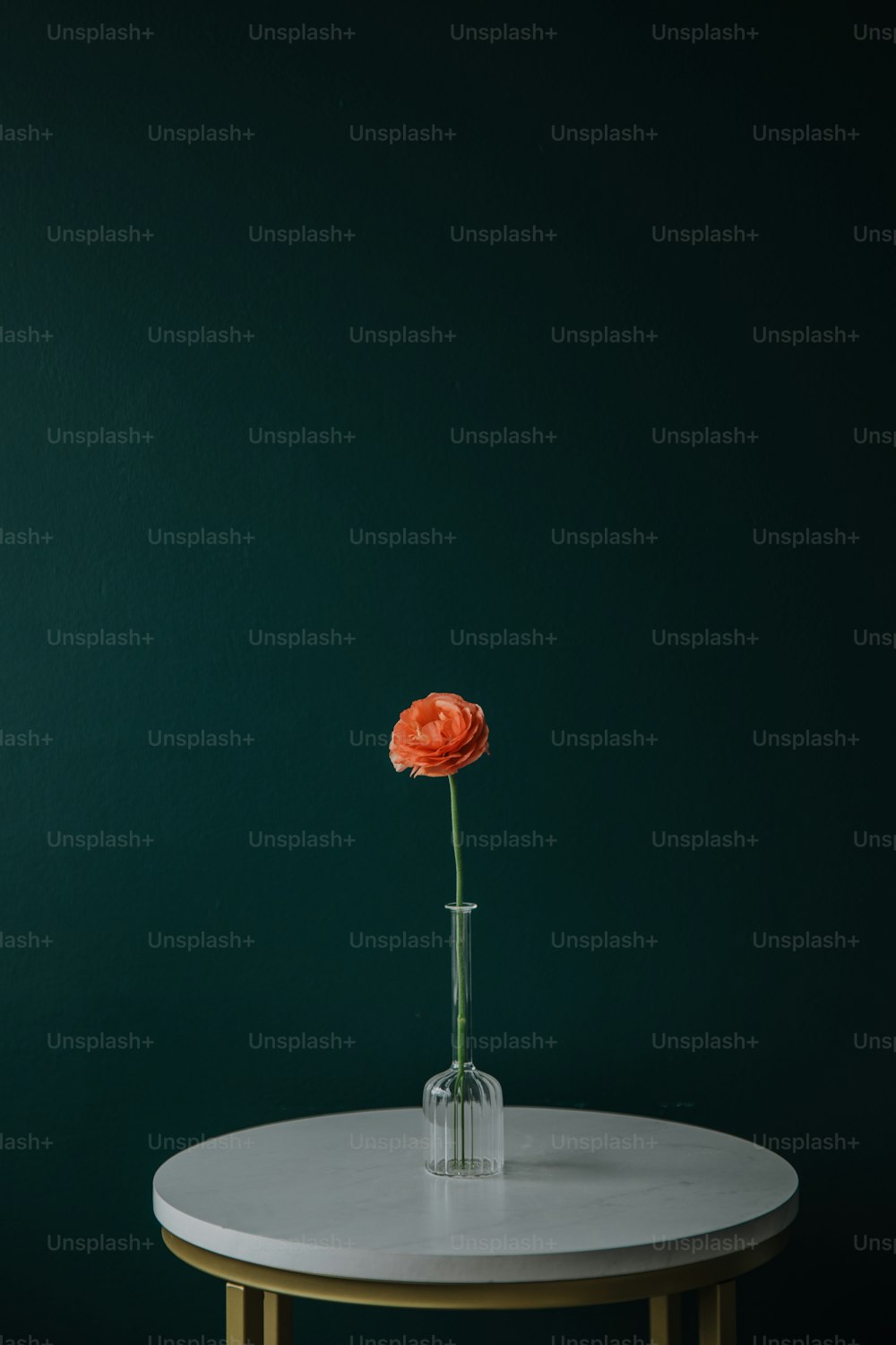 テーブルの上の花瓶の中の一輪の花