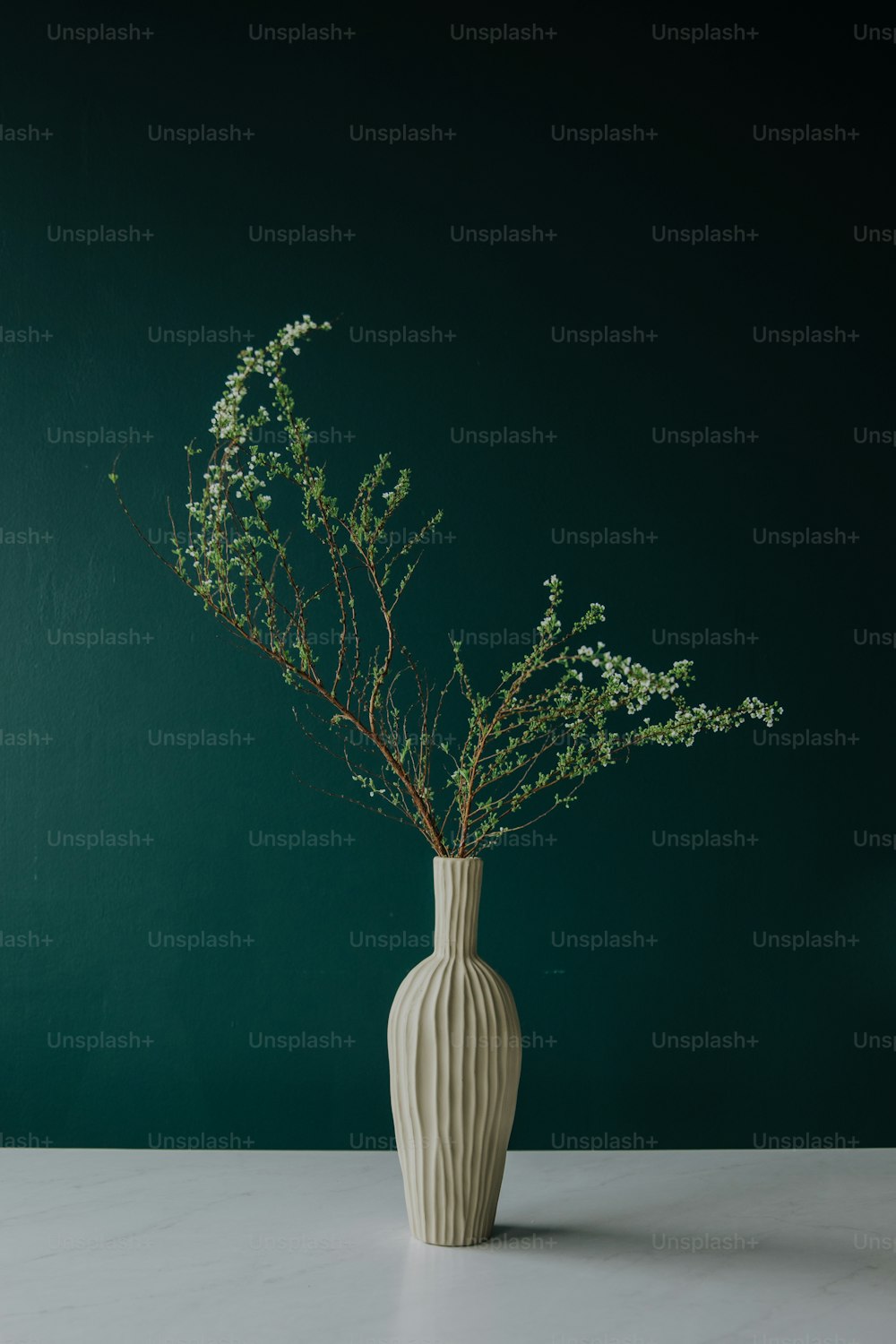 eine Vase mit einer Pflanze darin auf einem Tisch