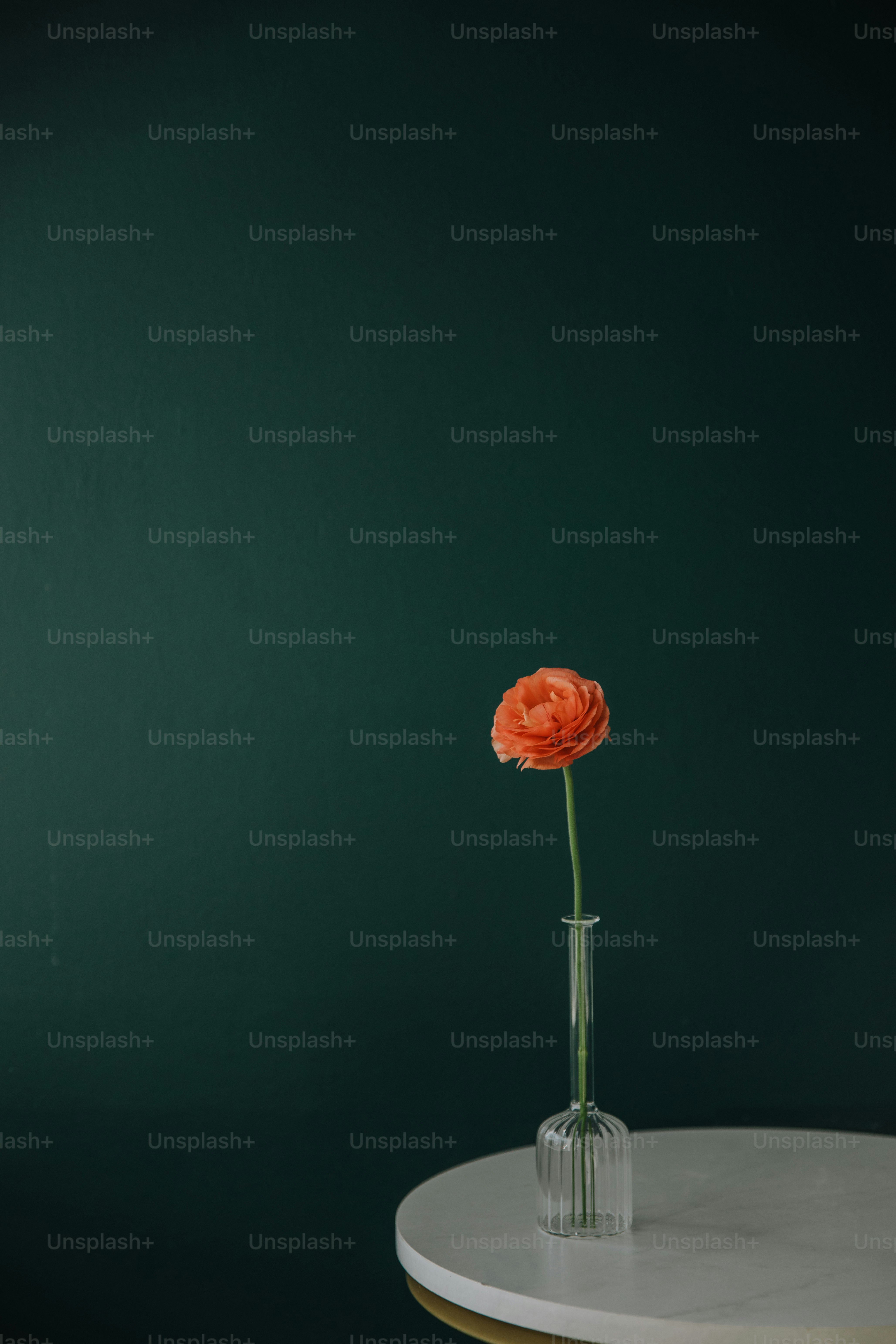 a single flower in a glass vase on a table